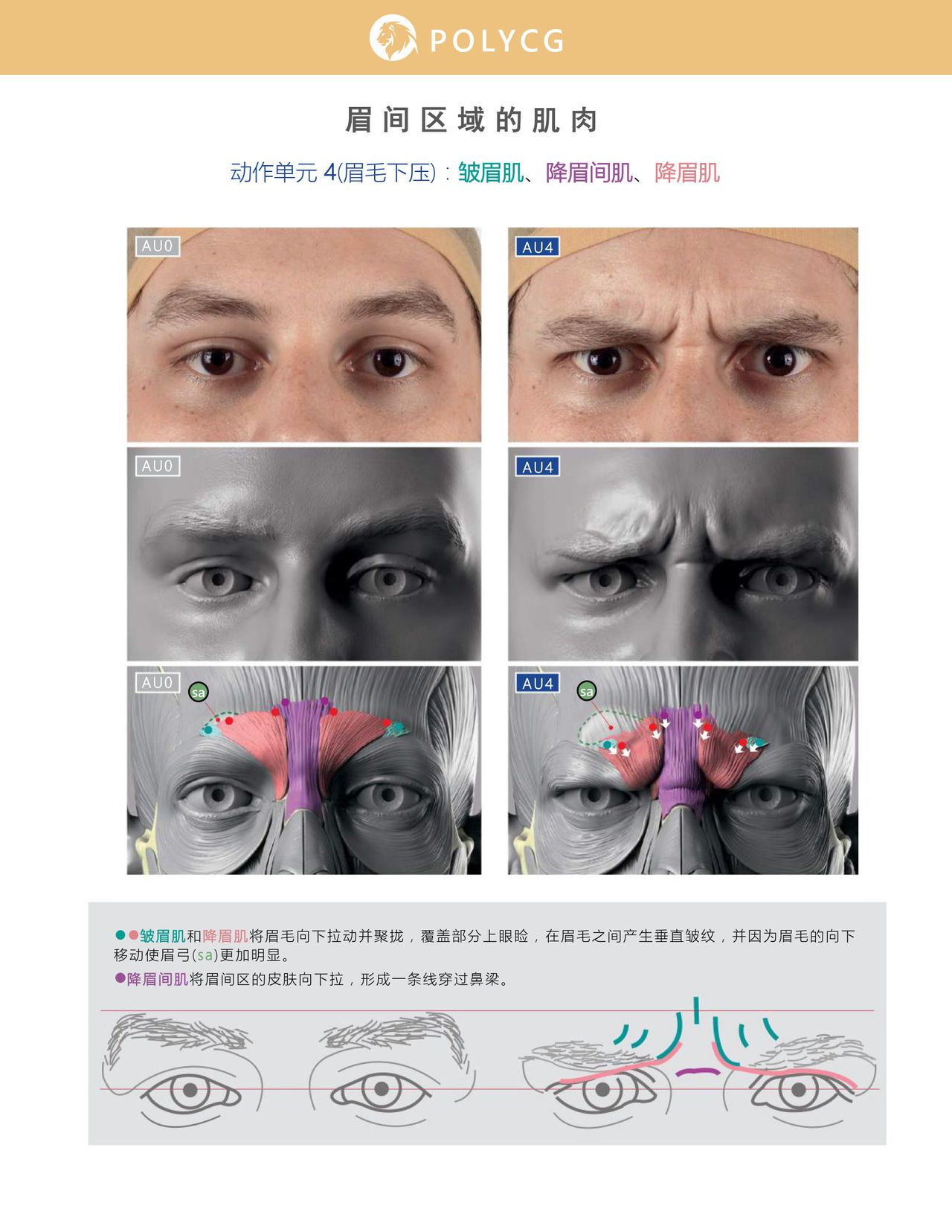 Uldis Zarins-Anatomy of Facial Expression-Exonicus [Chinese] 面部表情艺用解剖 [中文版] 57