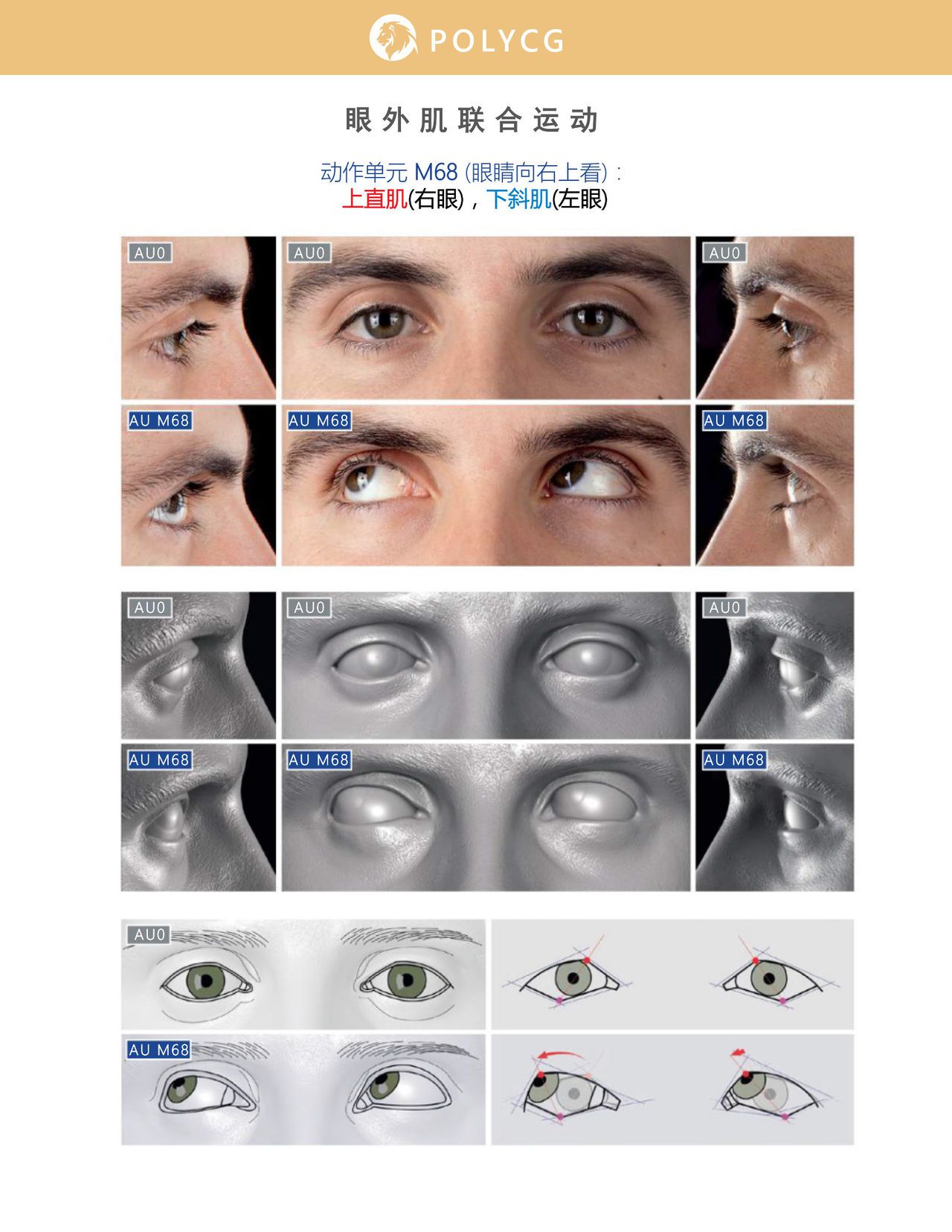 Uldis Zarins-Anatomy of Facial Expression-Exonicus [Chinese] 面部表情艺用解剖 [中文版] 75