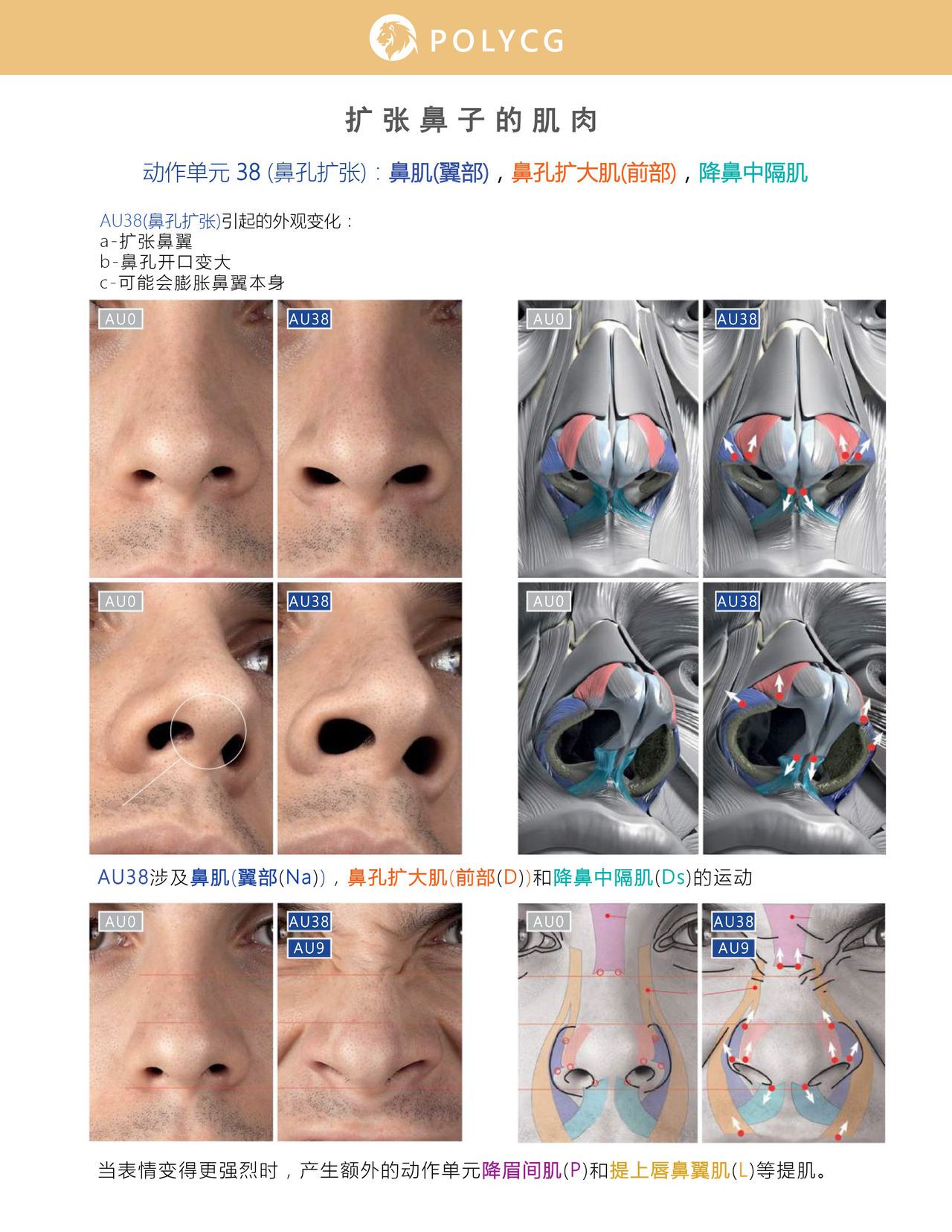 Uldis Zarins-Anatomy of Facial Expression-Exonicus [Chinese] 面部表情艺用解剖 [中文版] 81