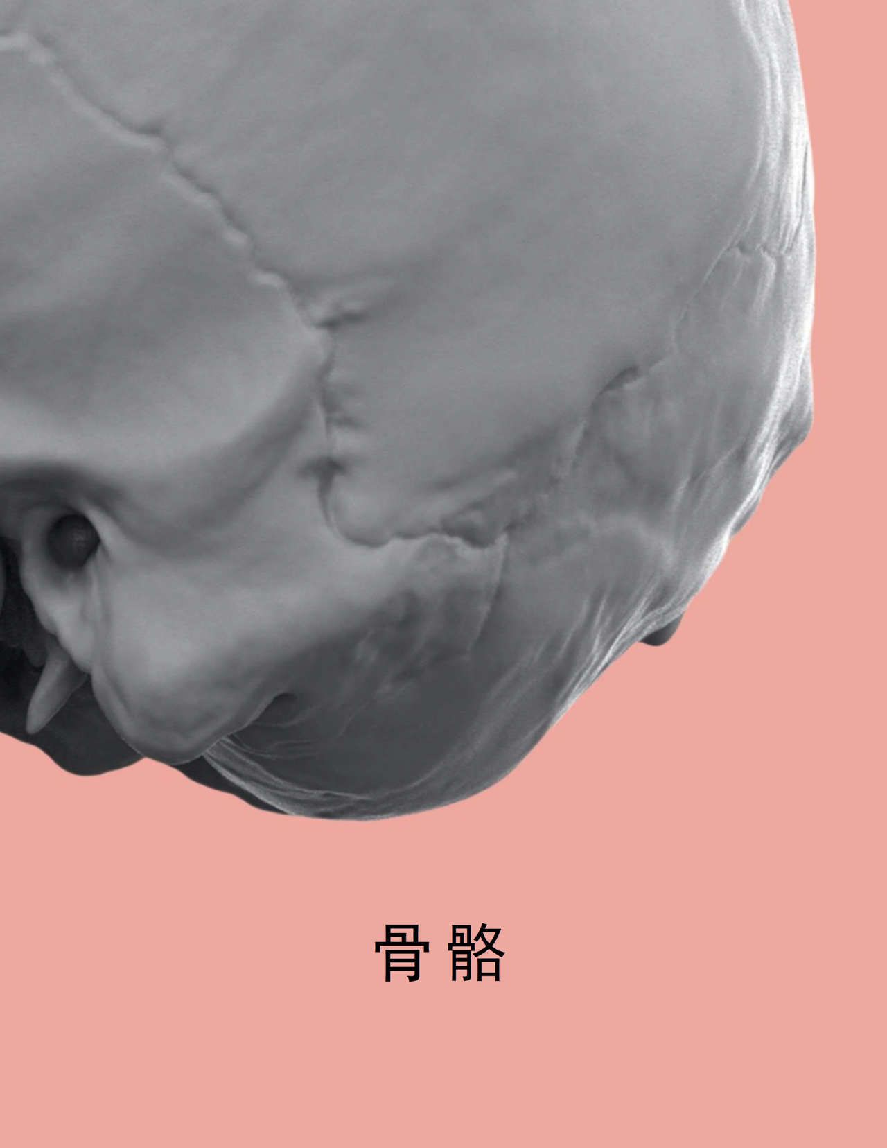 Uldis Zarins-Anatomy of Facial Expression-Exonicus [Chinese] 面部表情艺用解剖 [中文版] 9