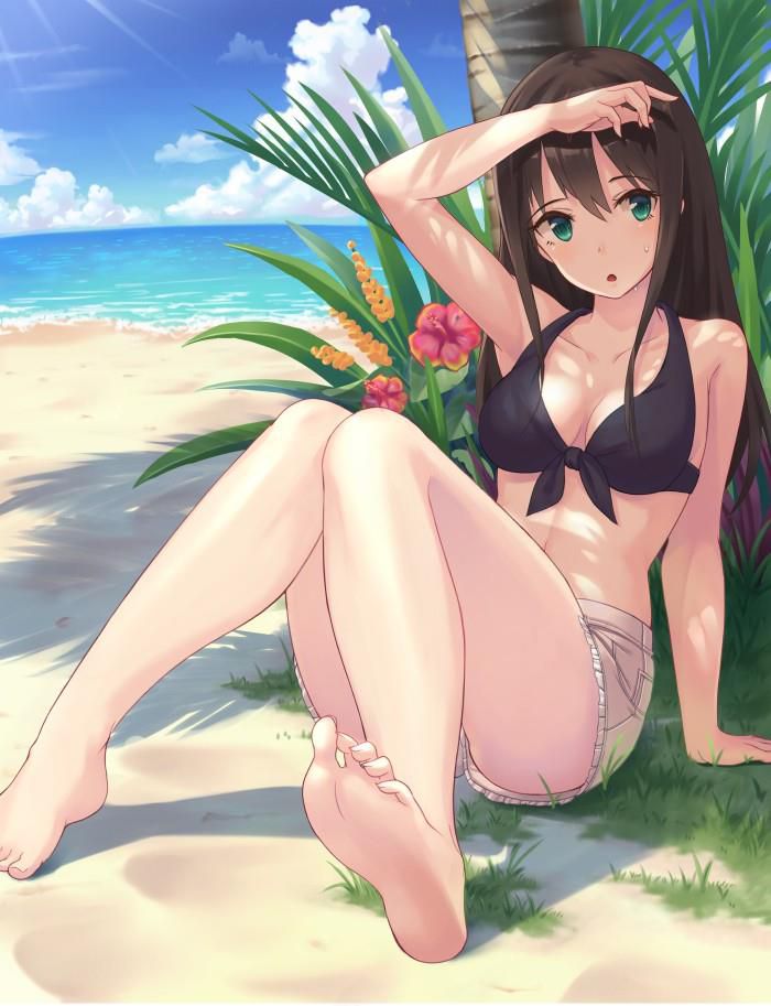 2D Swimsuit Image Summary 50 photos 24