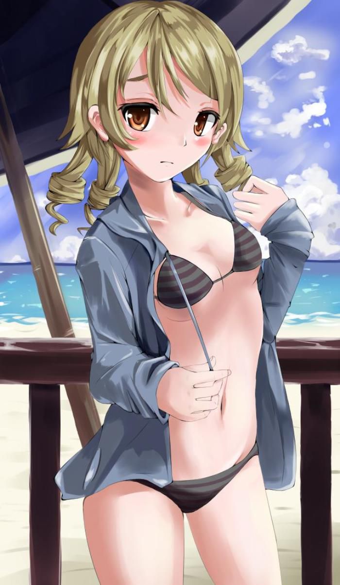 2D Swimsuit Image Summary 50 Sheets Part 2 25