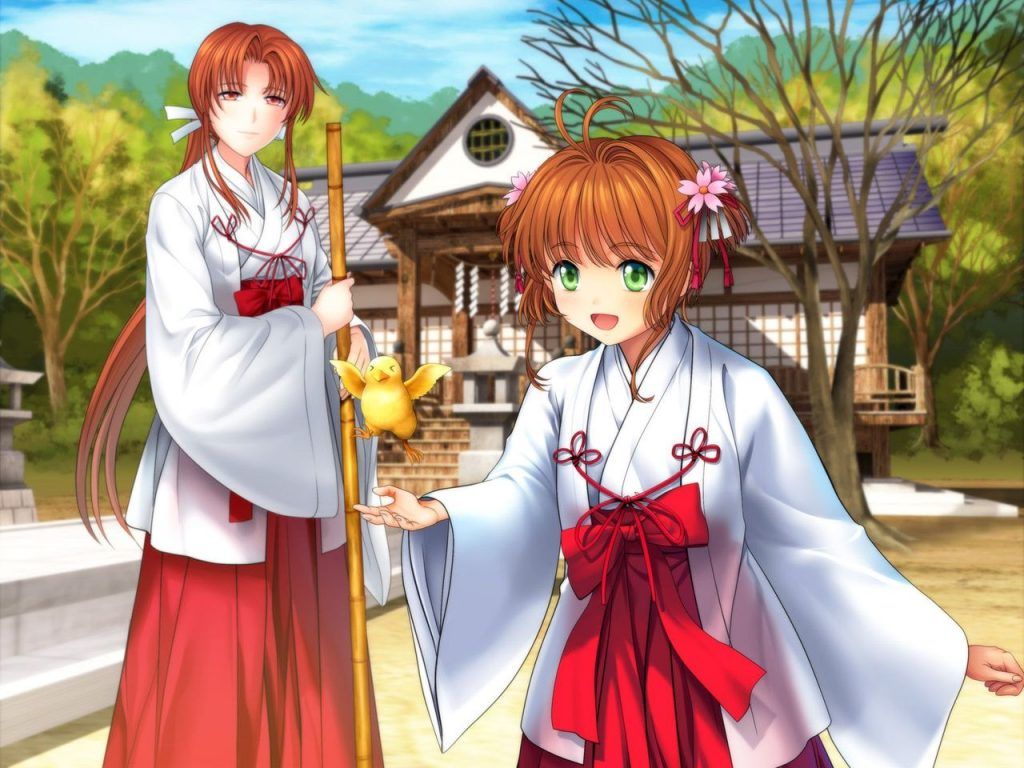 It is an erotic image of a shrine maiden! 12
