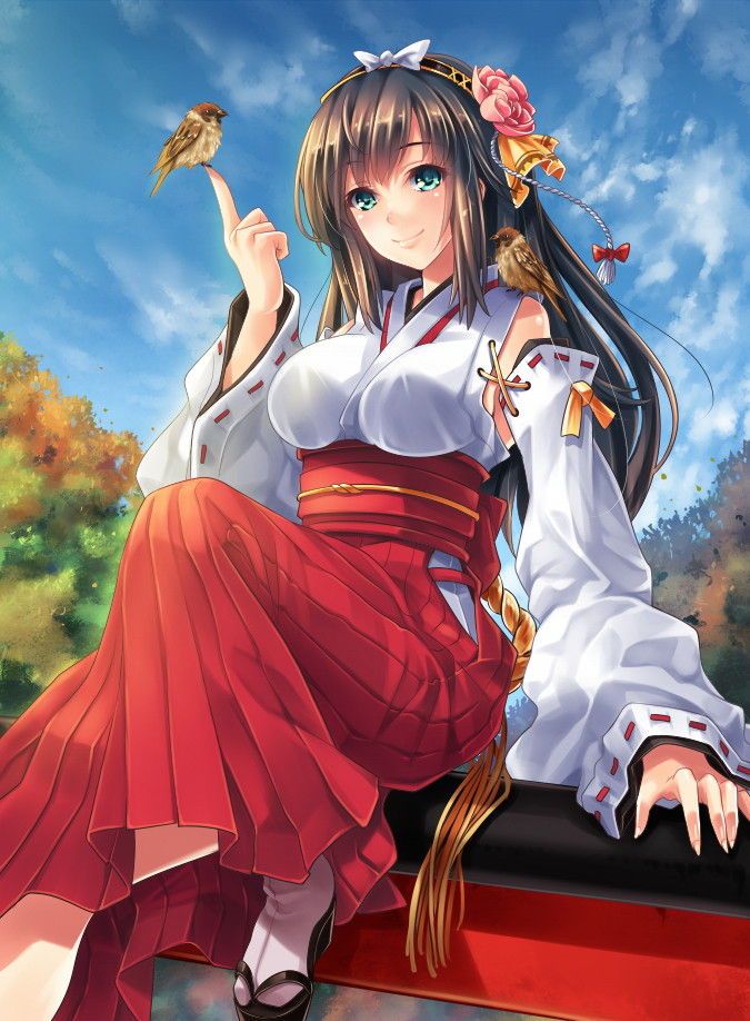 It is an erotic image of a shrine maiden! 13