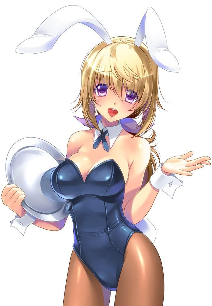 【Secondary】Horny Bunny Girl Image Summary With Usa Ears Part 1 21