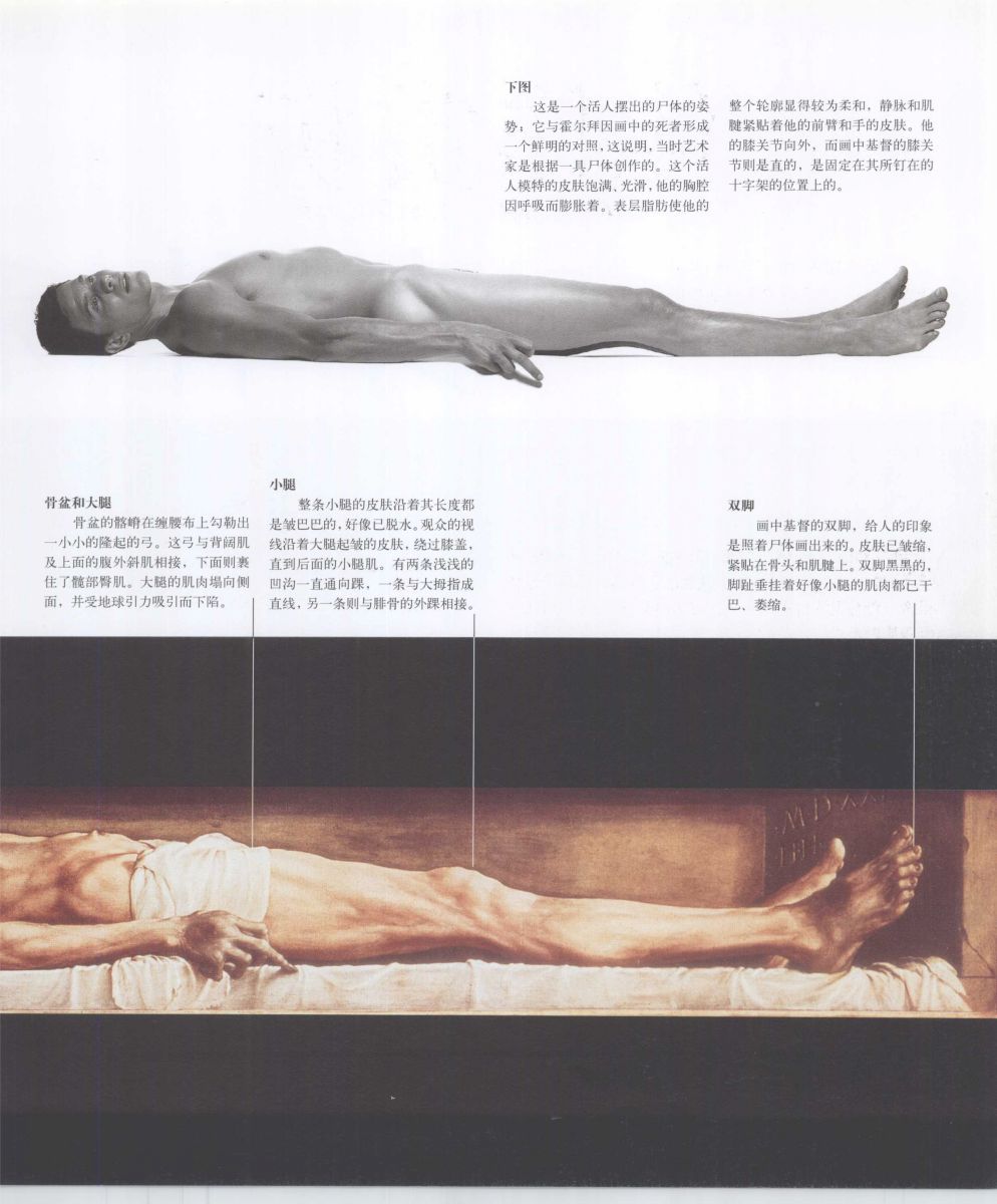 Anatomy for the Artist - Sarah Simblet [Chinese] 艺用人体解剖 - 萨拉·西蒙伯尔特 [中文版] 162