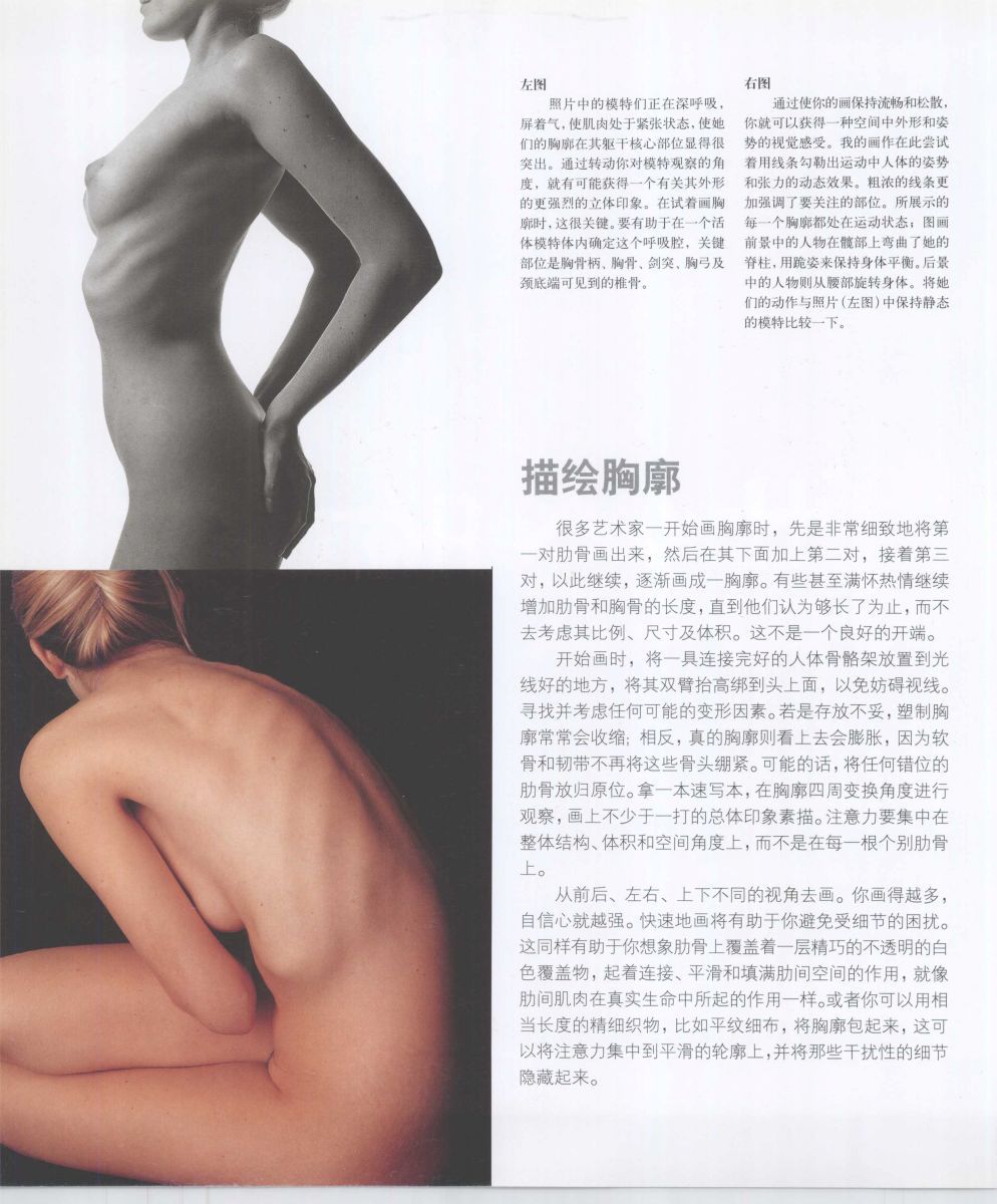 Anatomy for the Artist - Sarah Simblet [Chinese] 艺用人体解剖 - 萨拉·西蒙伯尔特 [中文版] 223