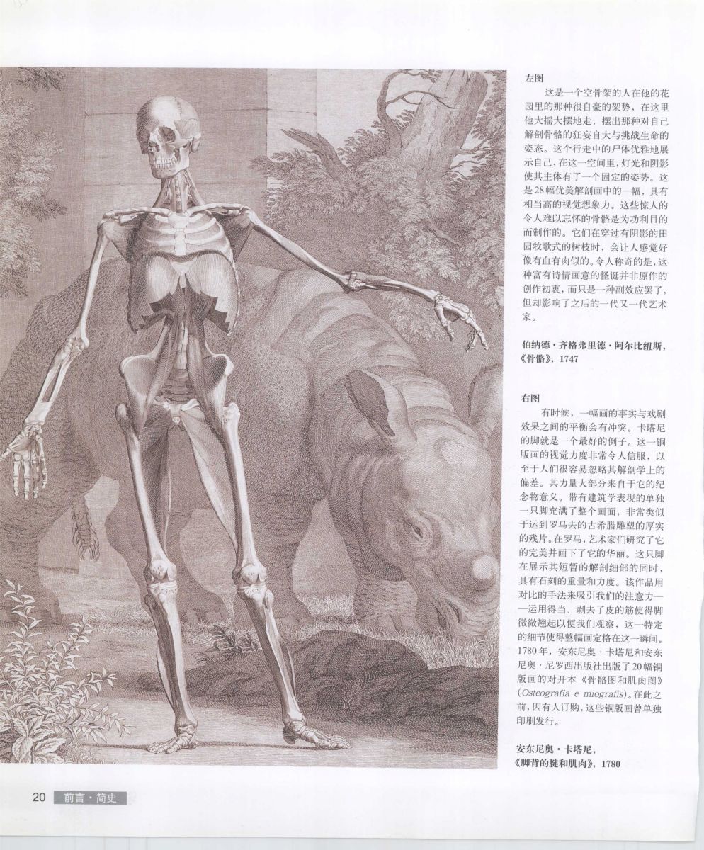 Anatomy for the Artist - Sarah Simblet [Chinese] 艺用人体解剖 - 萨拉·西蒙伯尔特 [中文版] 23