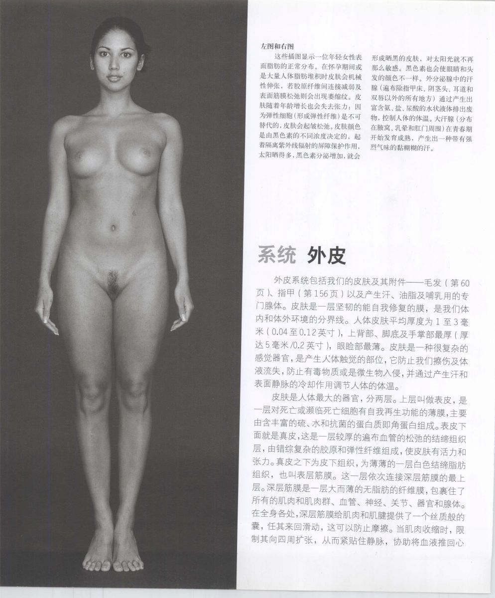 Anatomy for the Artist - Sarah Simblet [Chinese] 艺用人体解剖 - 萨拉·西蒙伯尔特 [中文版] 39