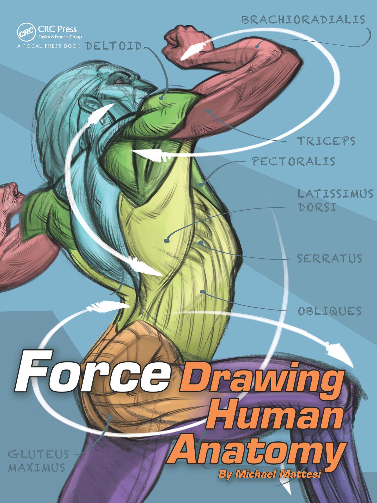 Force. Drawing human anatomy - Michael D. Mattesi [Digital] 1