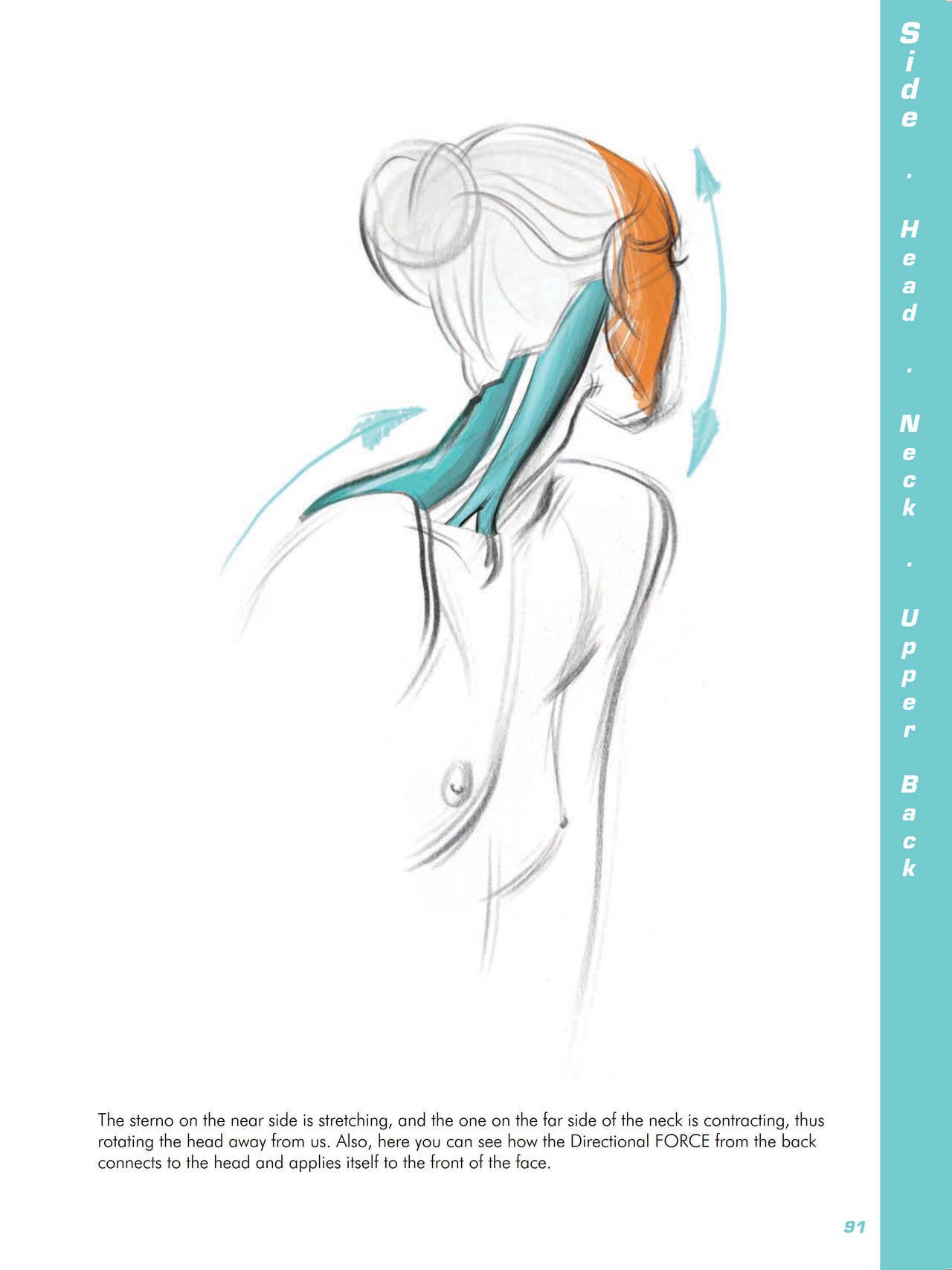 Force. Drawing human anatomy - Michael D. Mattesi [Digital] 112