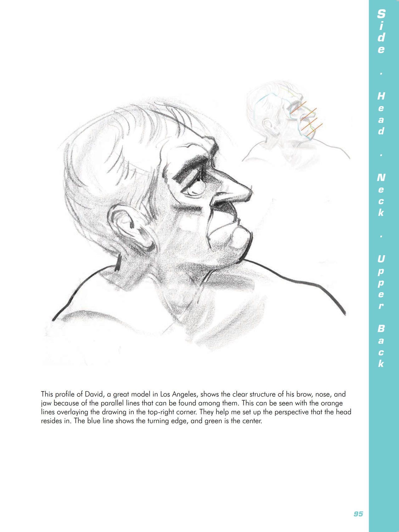 Force. Drawing human anatomy - Michael D. Mattesi [Digital] 116