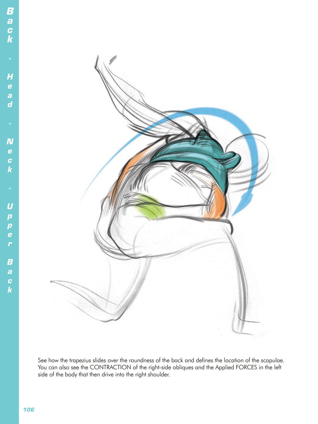 Force. Drawing human anatomy - Michael D. Mattesi [Digital] 127