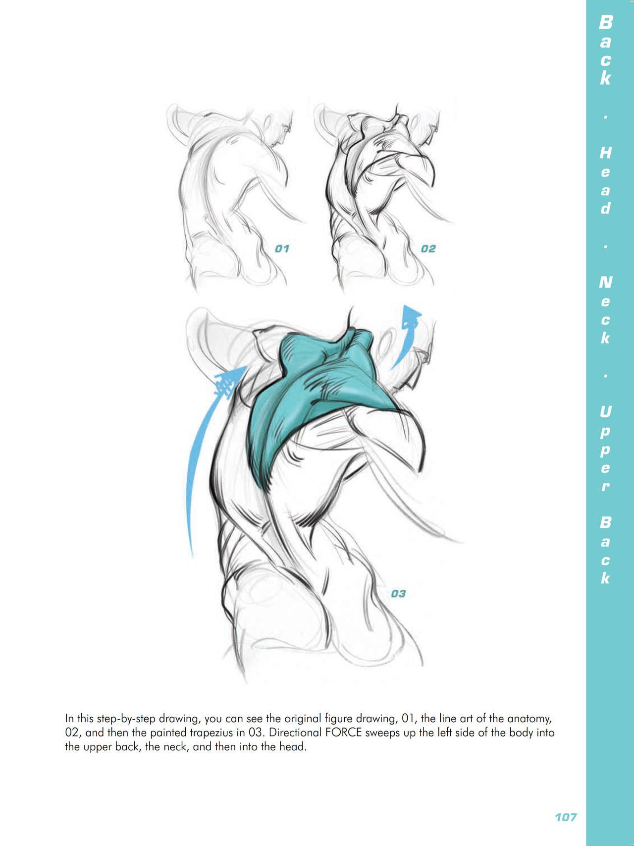 Force. Drawing human anatomy - Michael D. Mattesi [Digital] 128