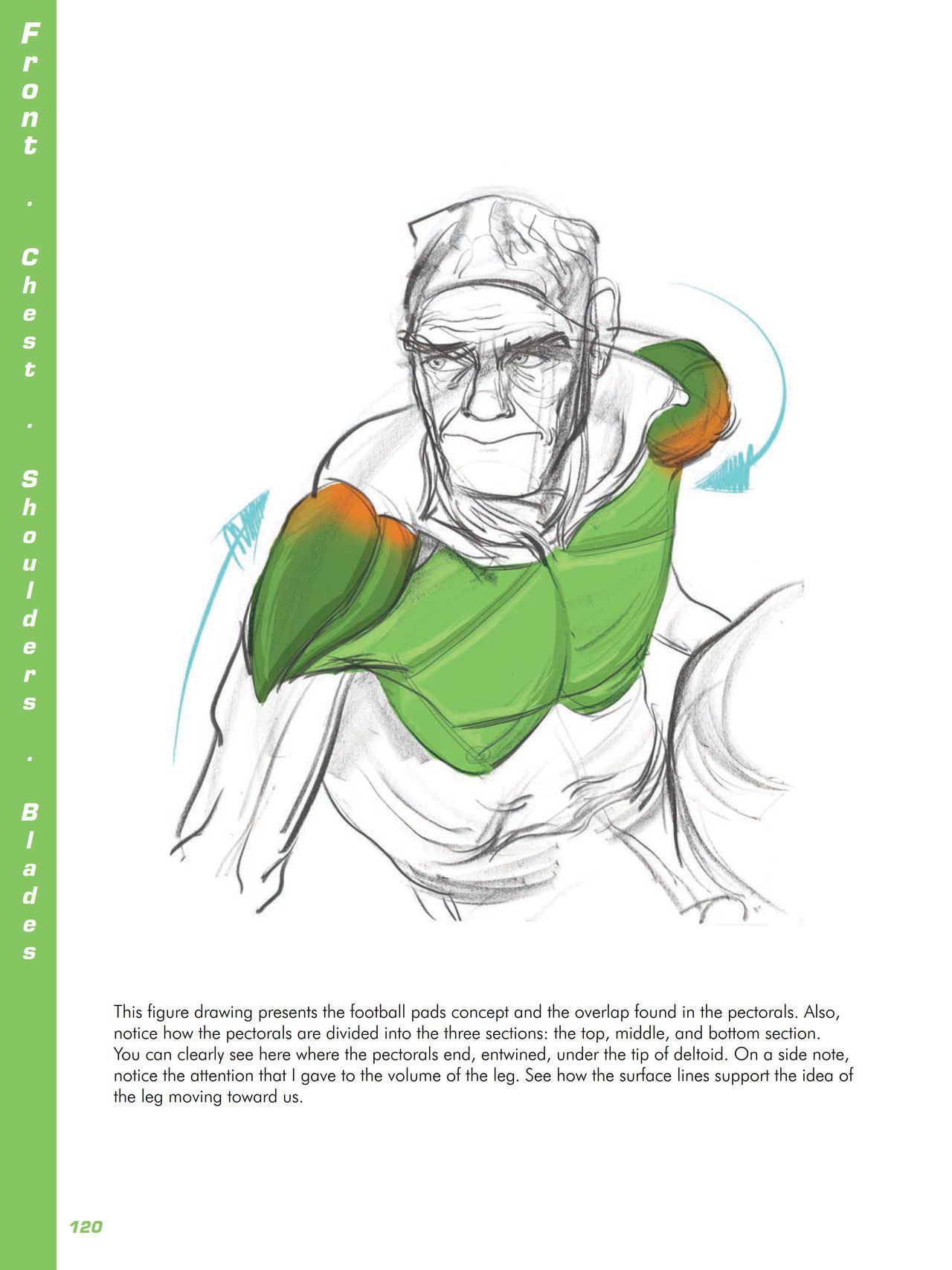 Force. Drawing human anatomy - Michael D. Mattesi [Digital] 141