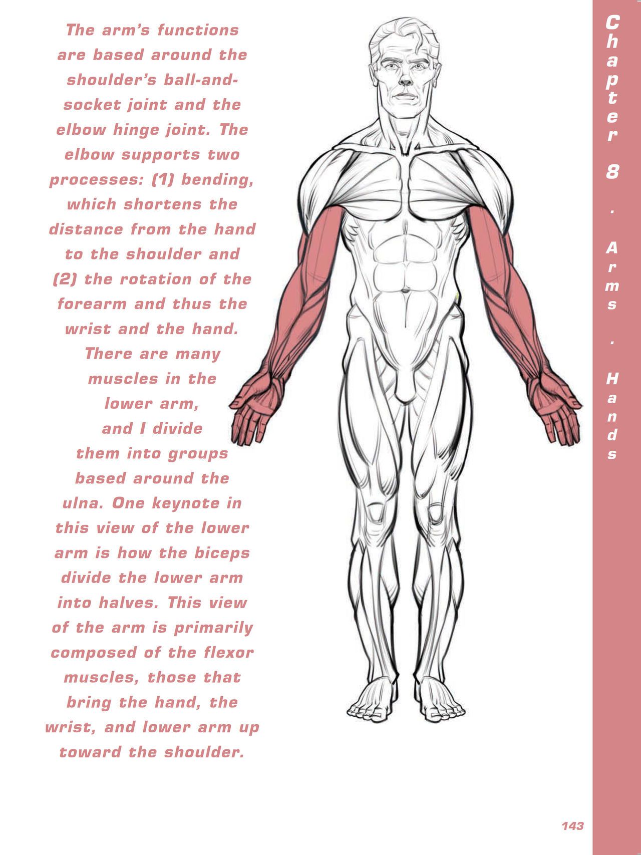 Force. Drawing human anatomy - Michael D. Mattesi [Digital] 164
