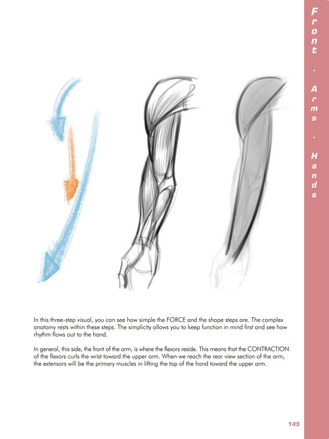 Force. Drawing human anatomy - Michael D. Mattesi [Digital] 166