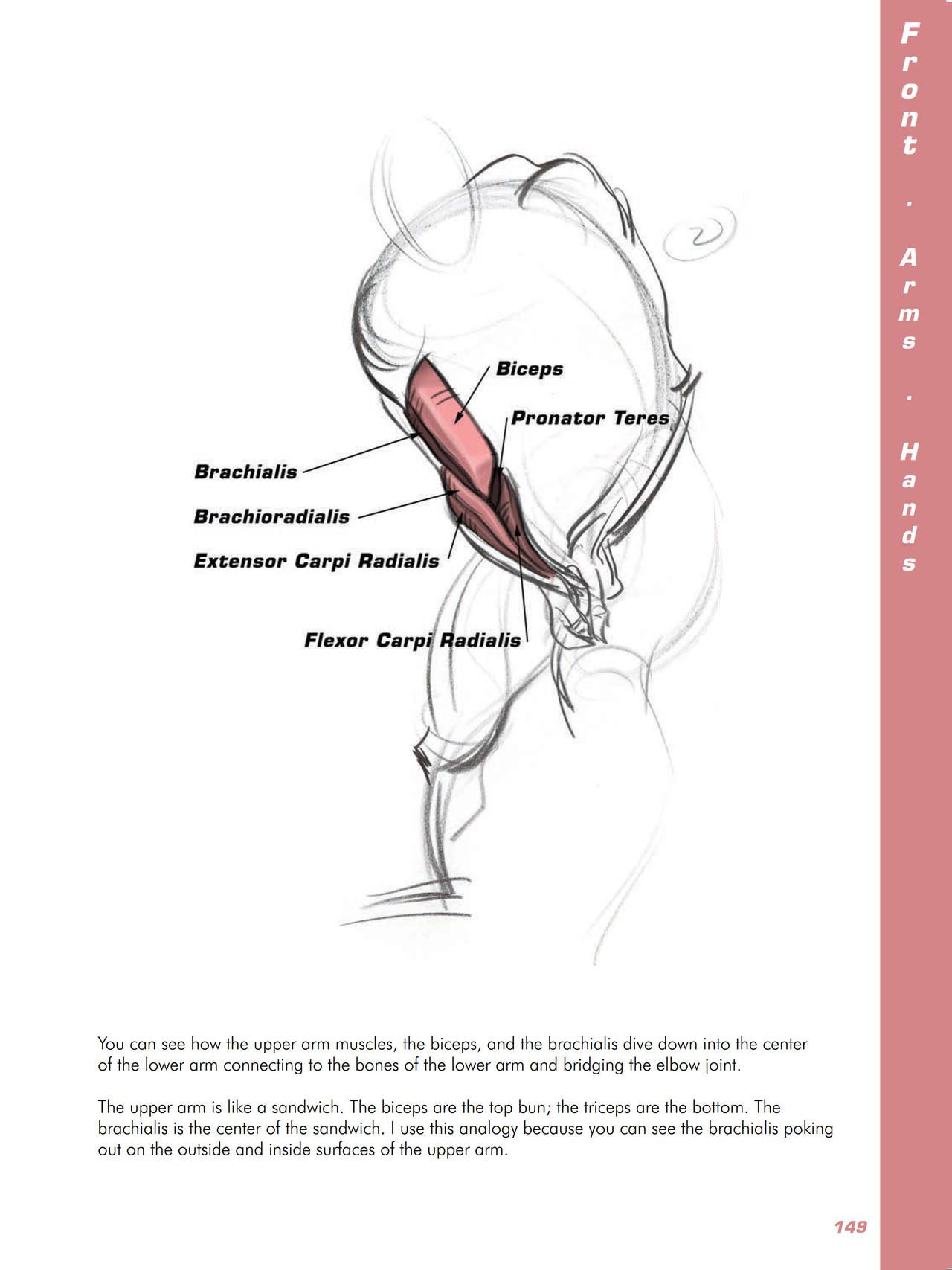 Force. Drawing human anatomy - Michael D. Mattesi [Digital] 170