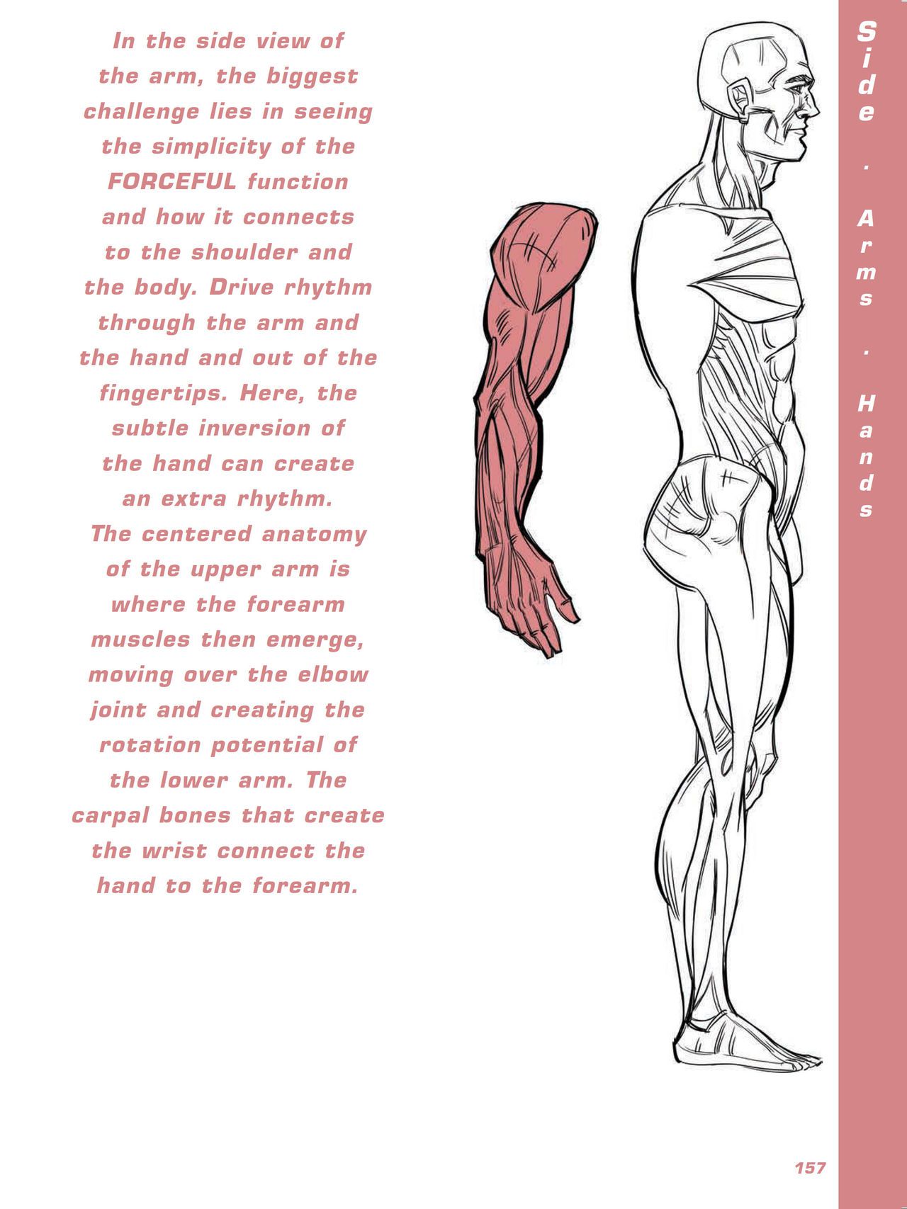 Force. Drawing human anatomy - Michael D. Mattesi [Digital] 178
