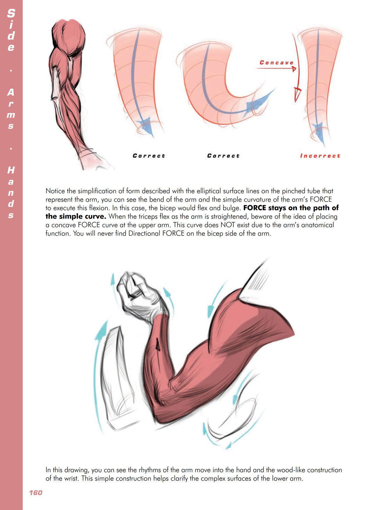Force. Drawing human anatomy - Michael D. Mattesi [Digital] 181