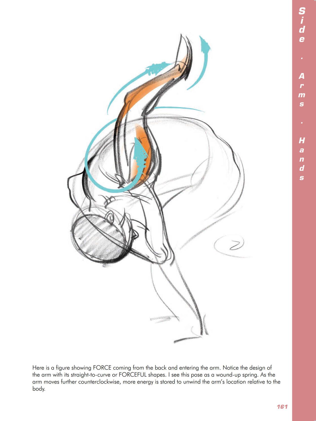 Force. Drawing human anatomy - Michael D. Mattesi [Digital] 182