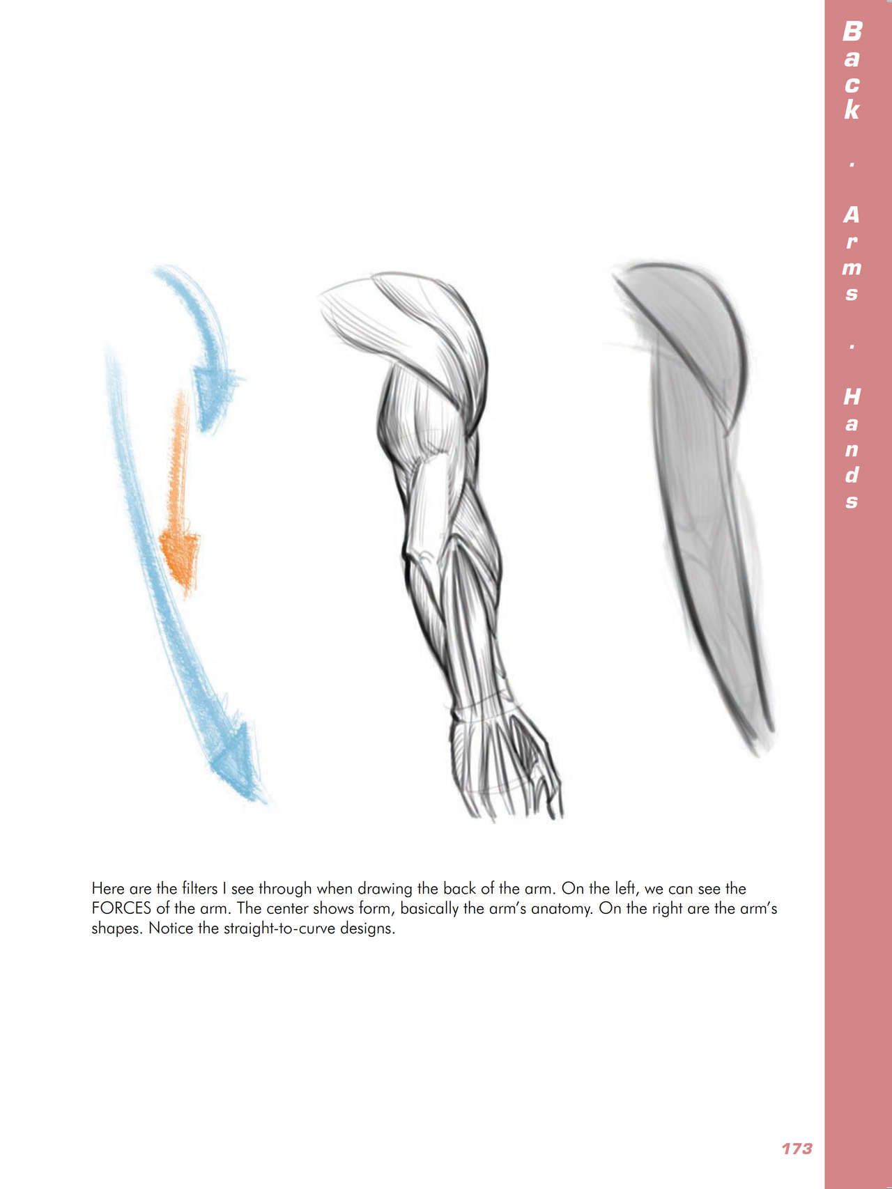 Force. Drawing human anatomy - Michael D. Mattesi [Digital] 194