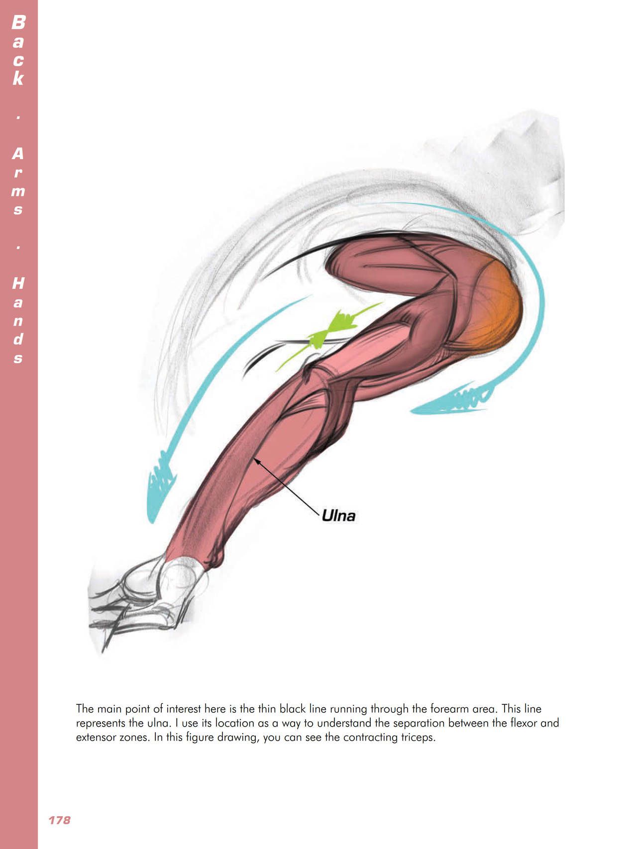 Force. Drawing human anatomy - Michael D. Mattesi [Digital] 199