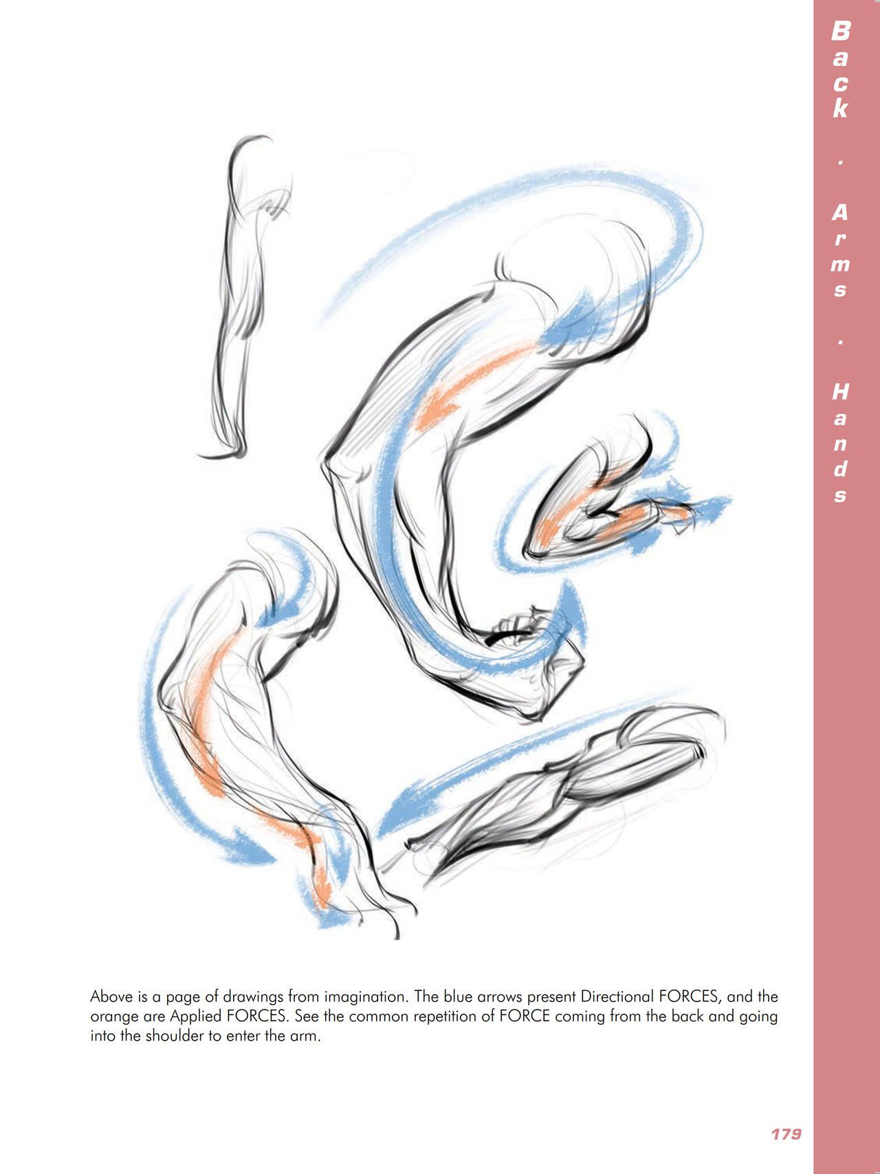 Force. Drawing human anatomy - Michael D. Mattesi [Digital] 200