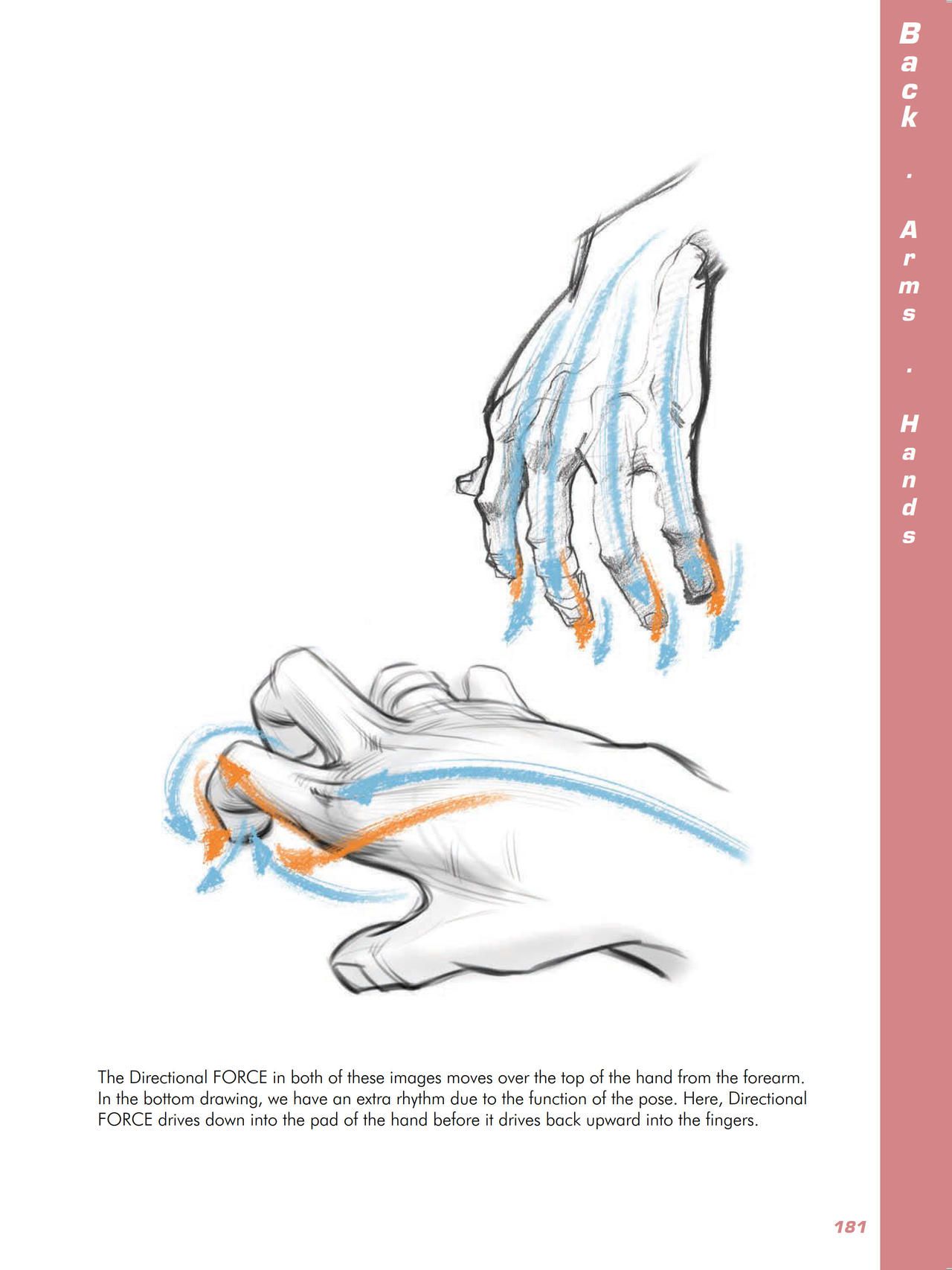 Force. Drawing human anatomy - Michael D. Mattesi [Digital] 202