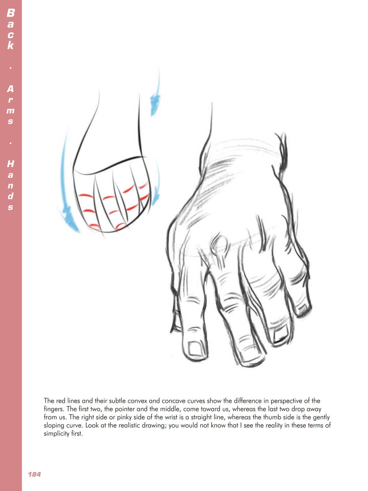Force. Drawing human anatomy - Michael D. Mattesi [Digital] 205