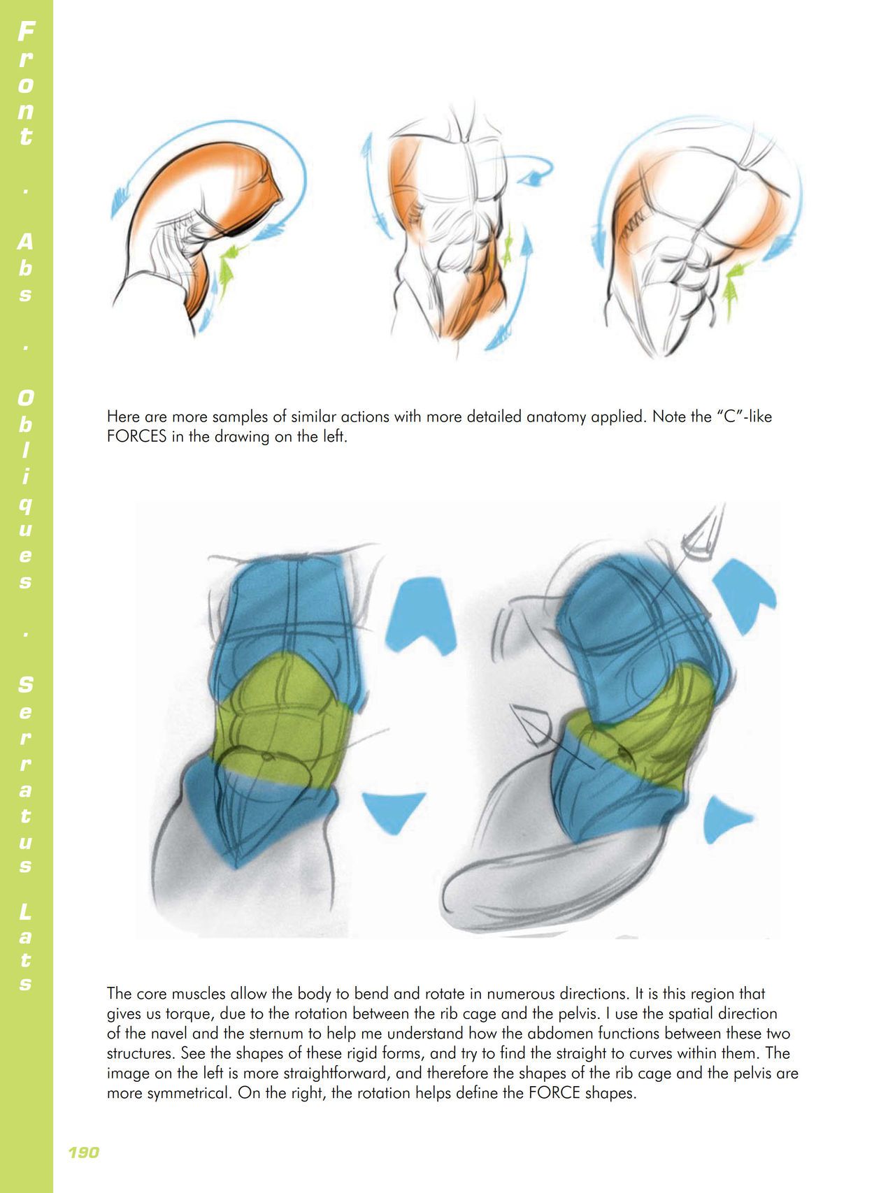 Force. Drawing human anatomy - Michael D. Mattesi [Digital] 211