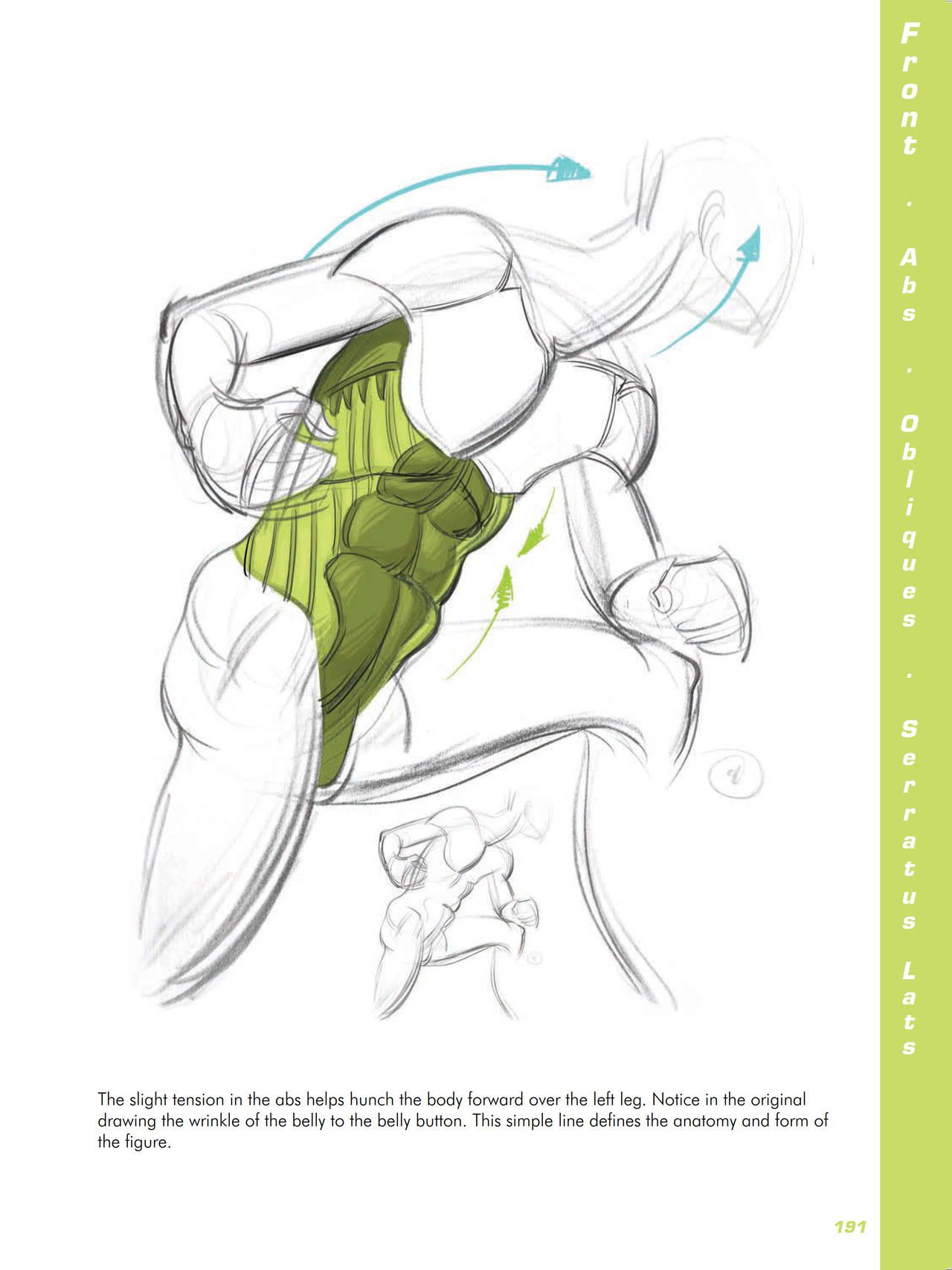 Force. Drawing human anatomy - Michael D. Mattesi [Digital] 212