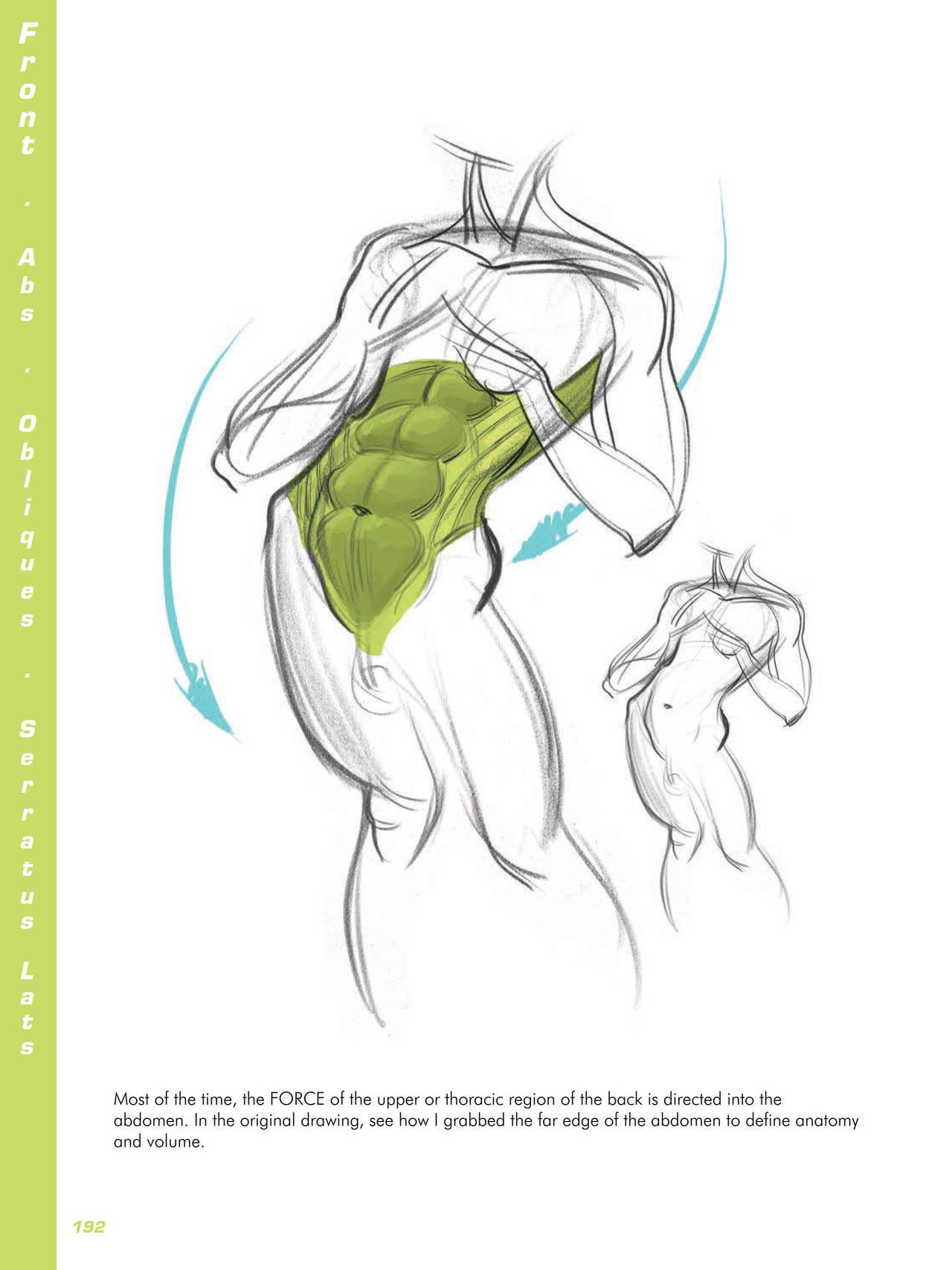 Force. Drawing human anatomy - Michael D. Mattesi [Digital] 213