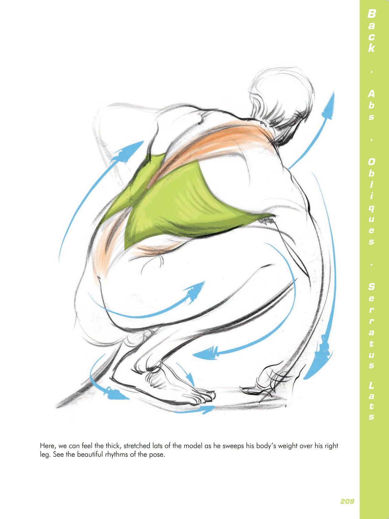 Force. Drawing human anatomy - Michael D. Mattesi [Digital] 230