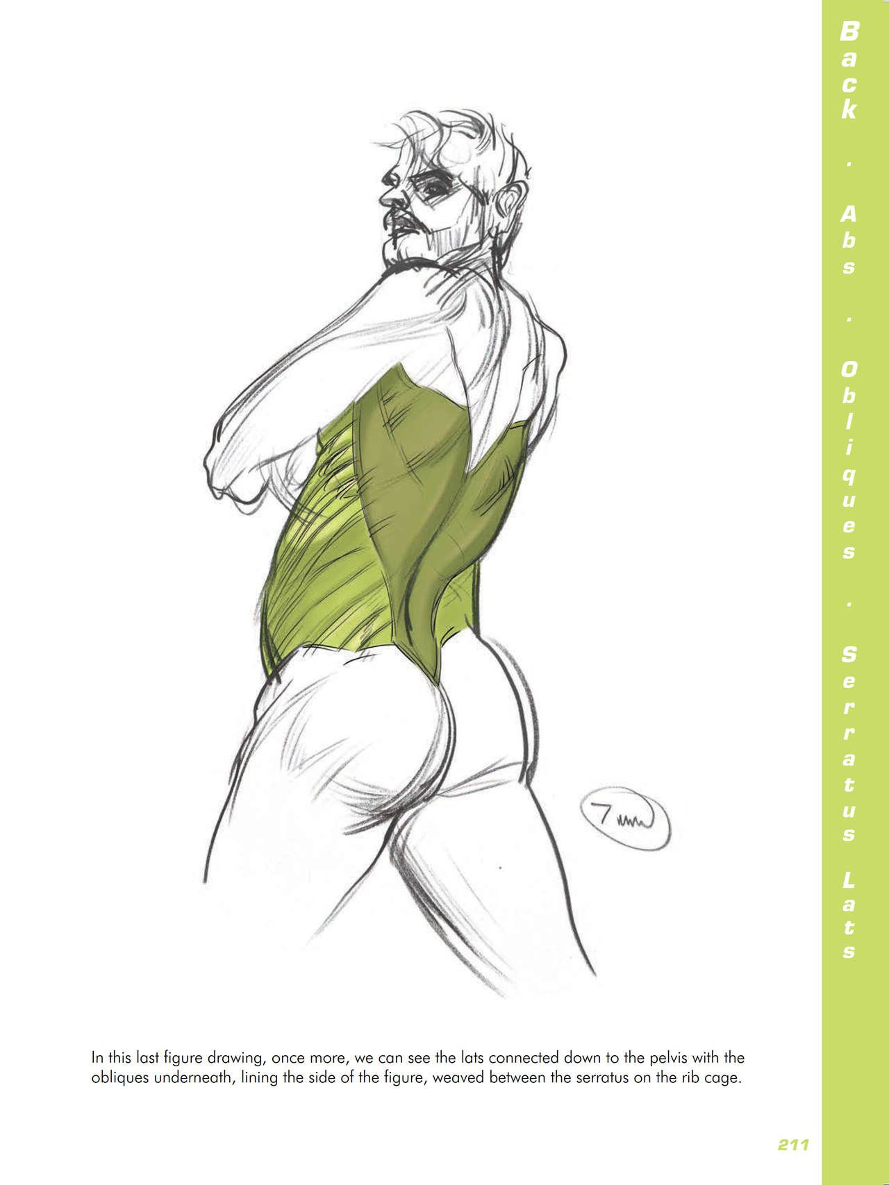 Force. Drawing human anatomy - Michael D. Mattesi [Digital] 232