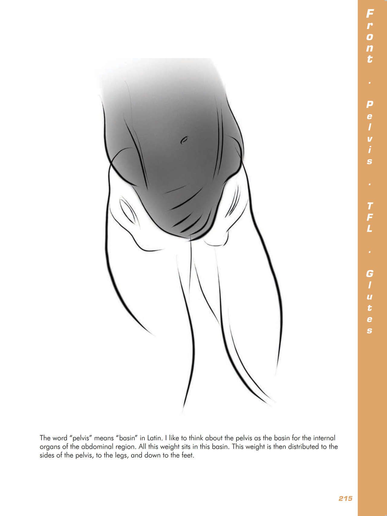 Force. Drawing human anatomy - Michael D. Mattesi [Digital] 236