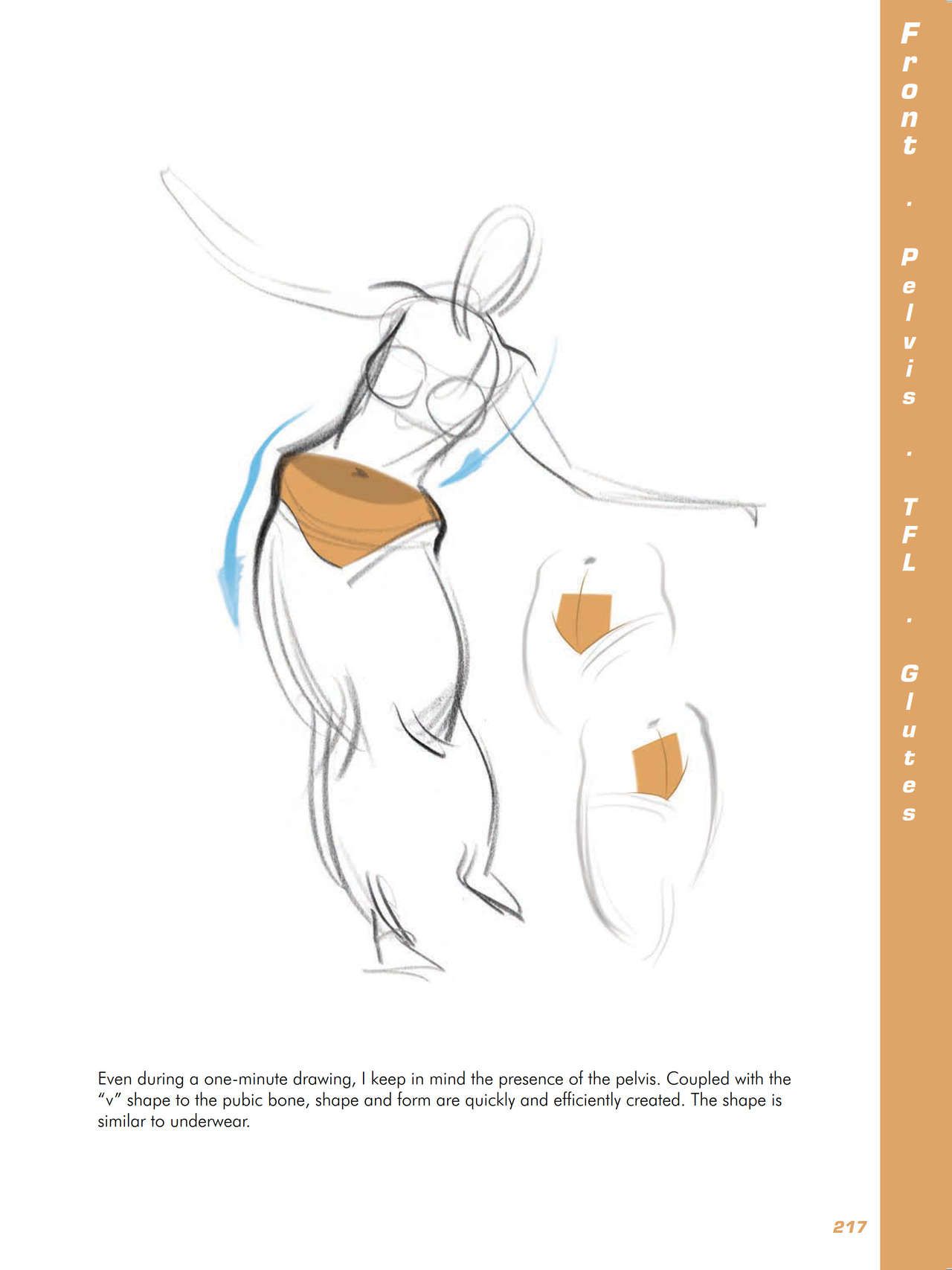 Force. Drawing human anatomy - Michael D. Mattesi [Digital] 238
