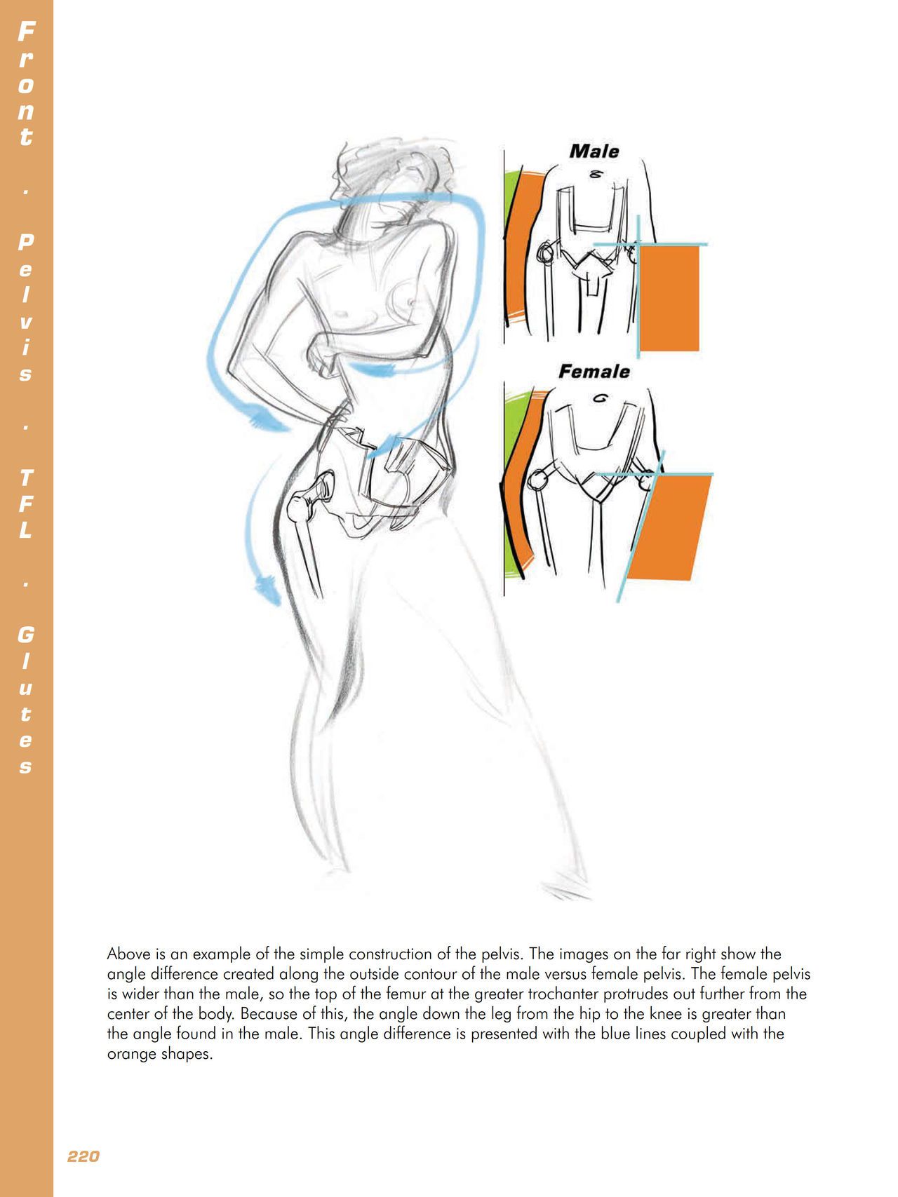 Force. Drawing human anatomy - Michael D. Mattesi [Digital] 241