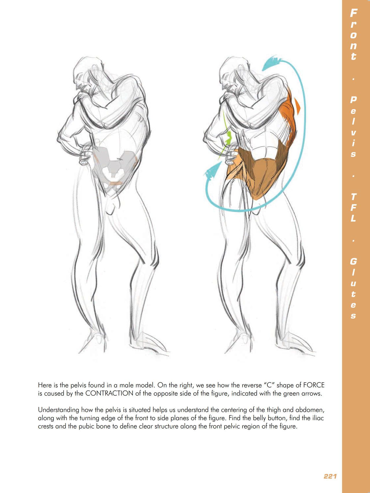 Force. Drawing human anatomy - Michael D. Mattesi [Digital] 242