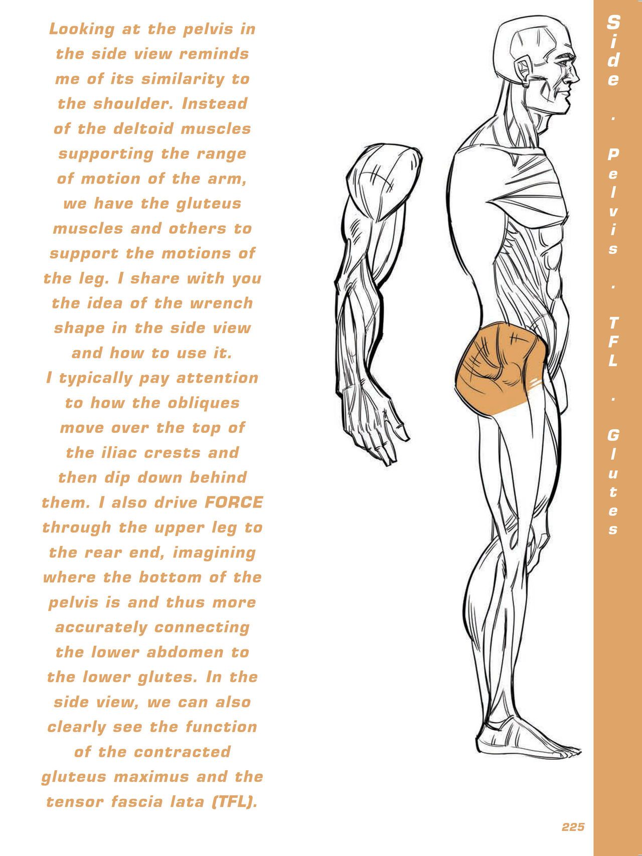 Force. Drawing human anatomy - Michael D. Mattesi [Digital] 246