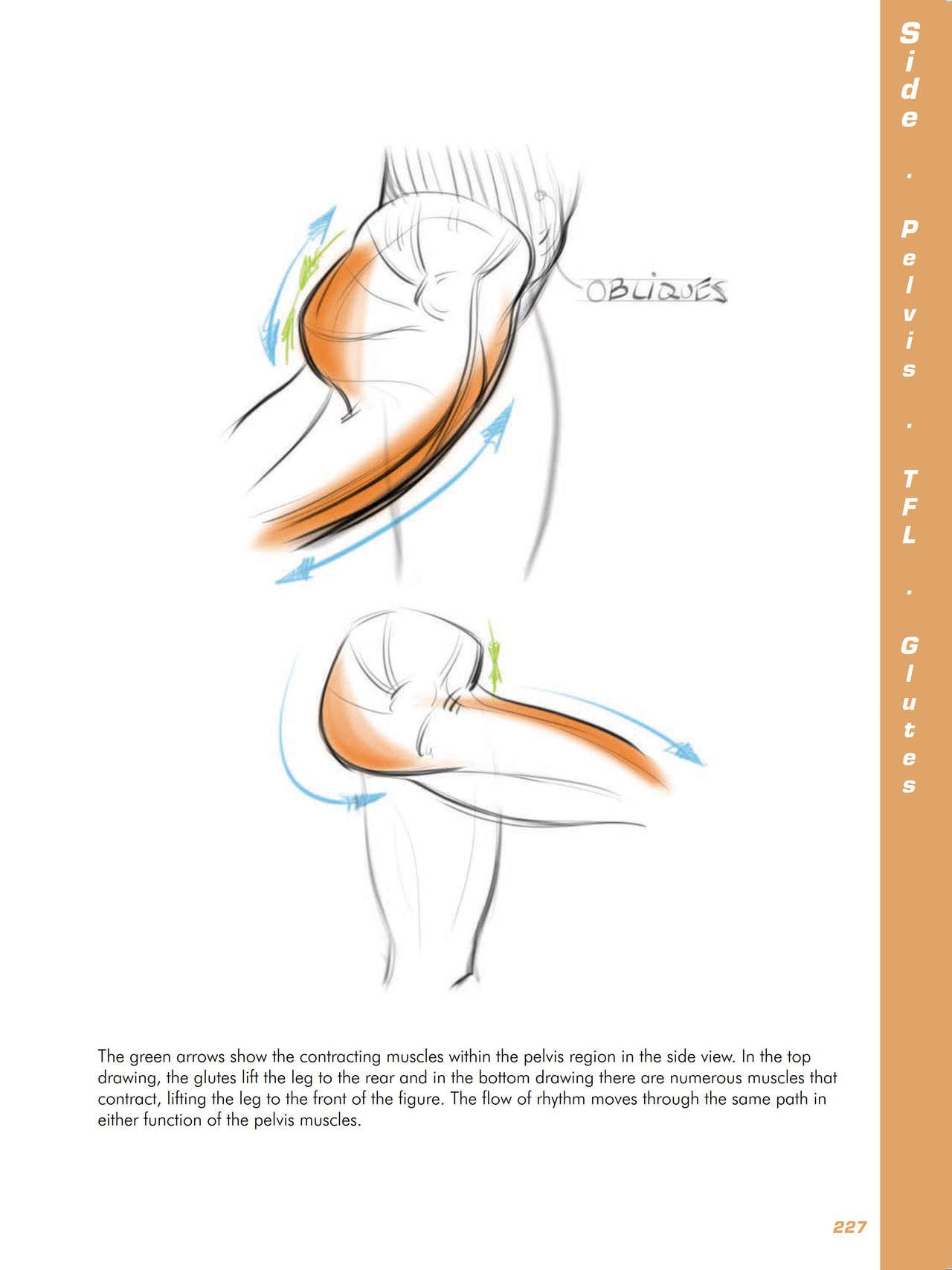 Force. Drawing human anatomy - Michael D. Mattesi [Digital] 248