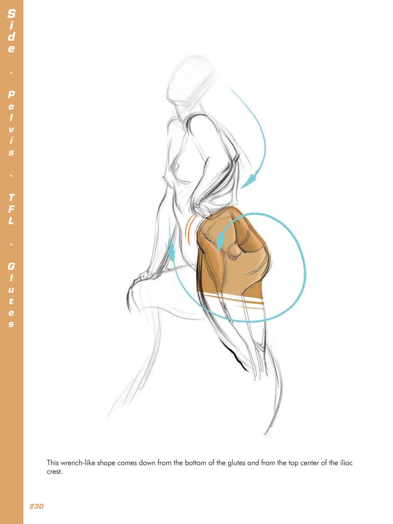 Force. Drawing human anatomy - Michael D. Mattesi [Digital] 251