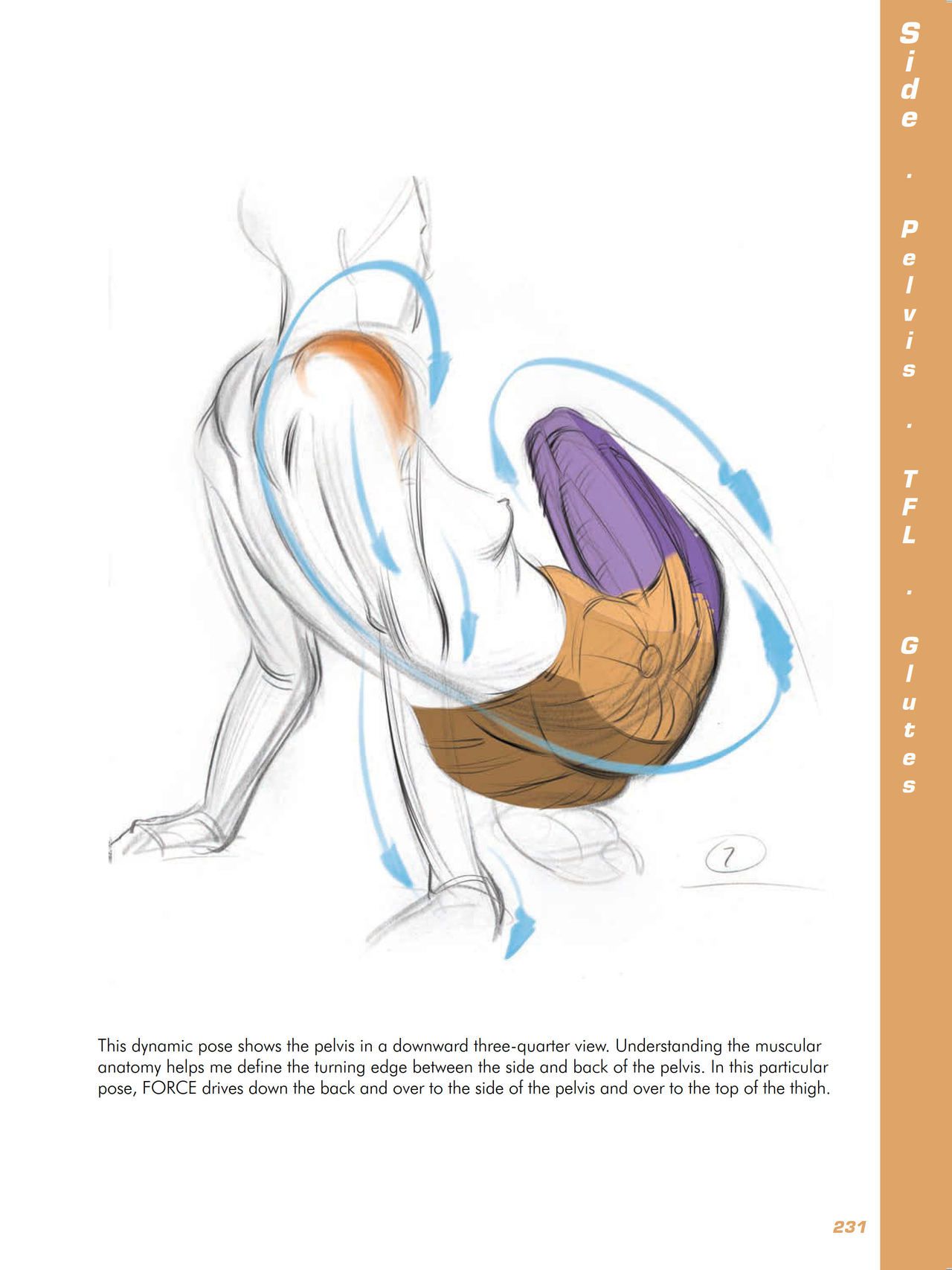 Force. Drawing human anatomy - Michael D. Mattesi [Digital] 252
