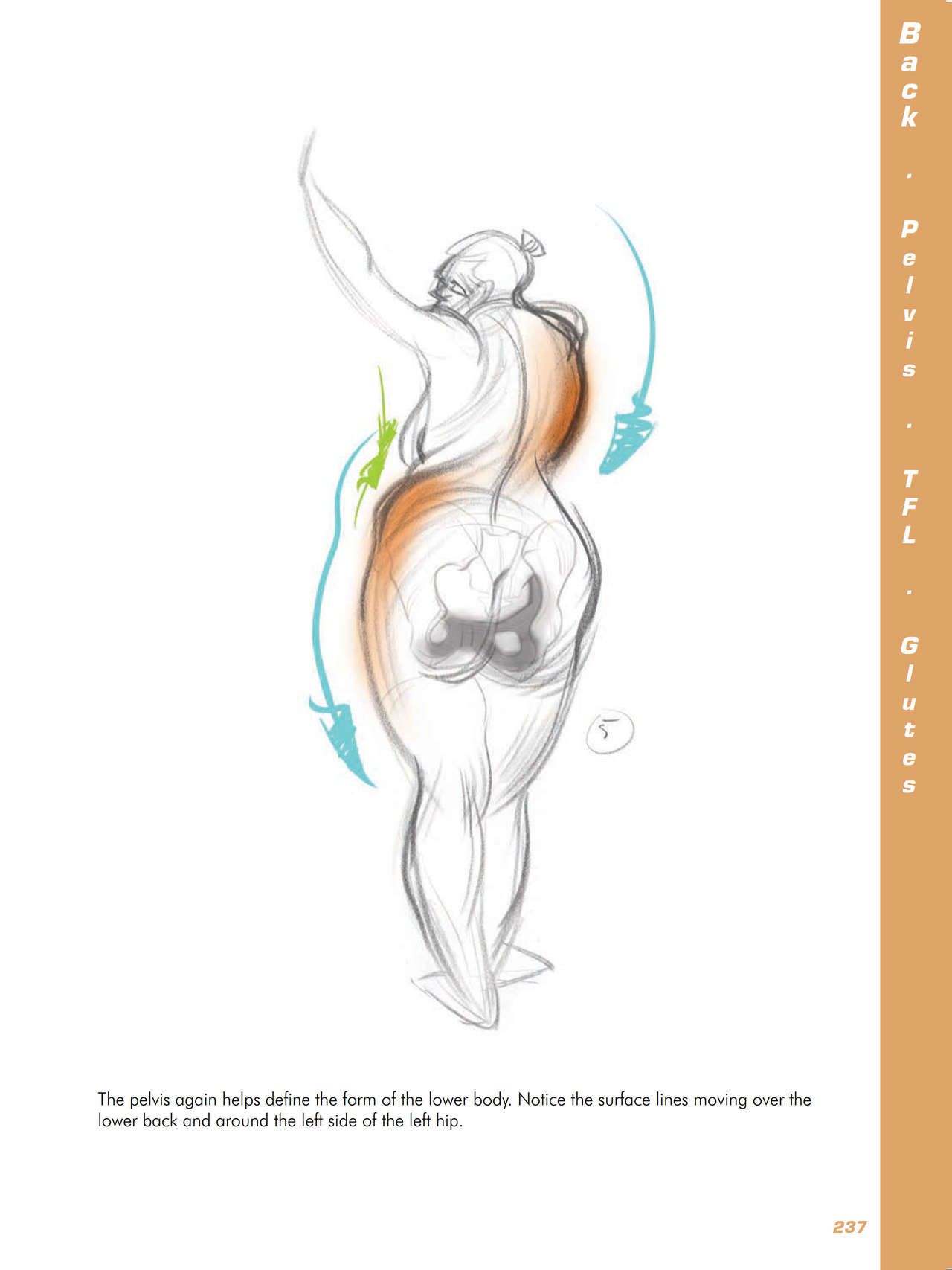 Force. Drawing human anatomy - Michael D. Mattesi [Digital] 258