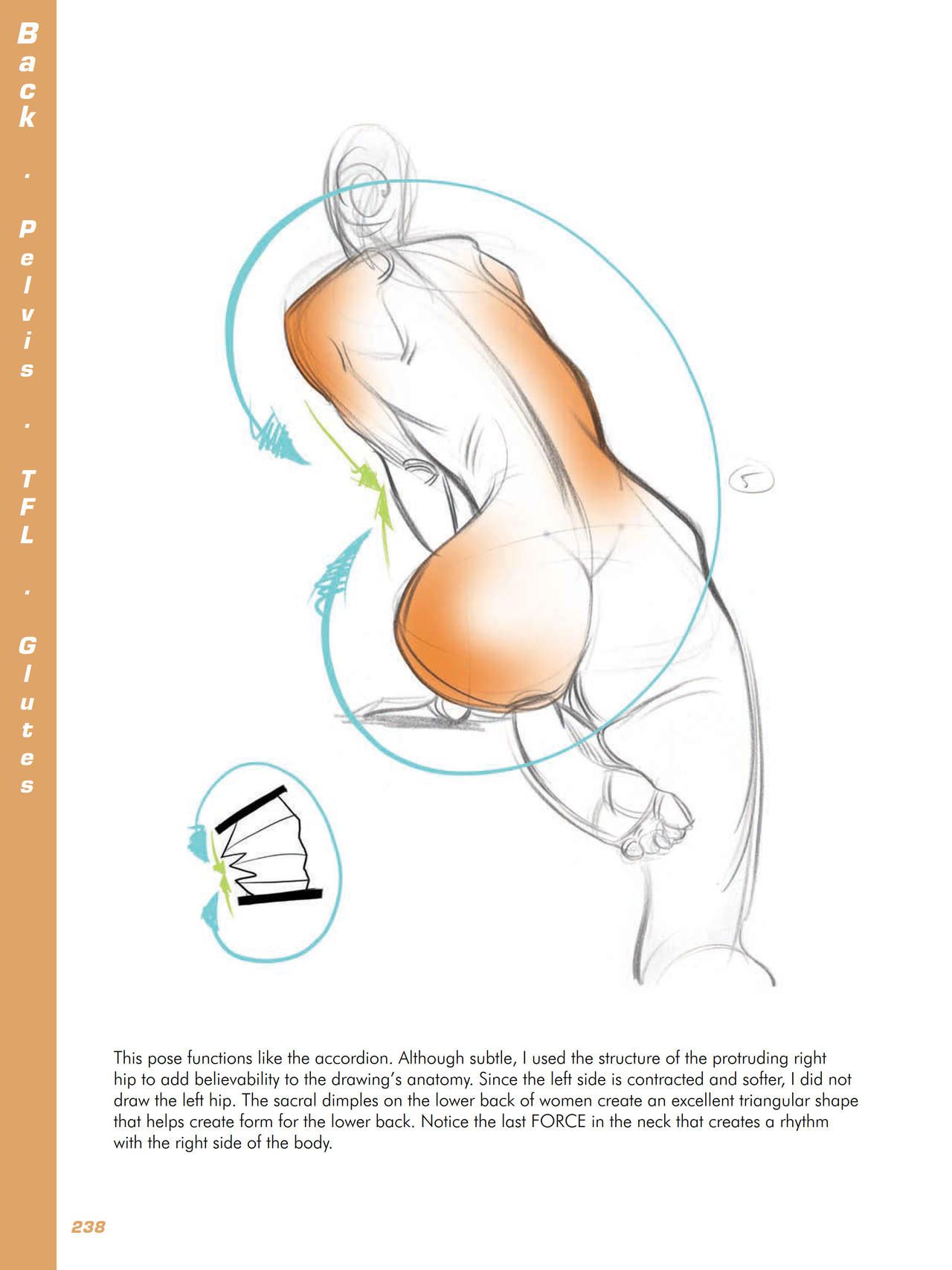 Force. Drawing human anatomy - Michael D. Mattesi [Digital] 259