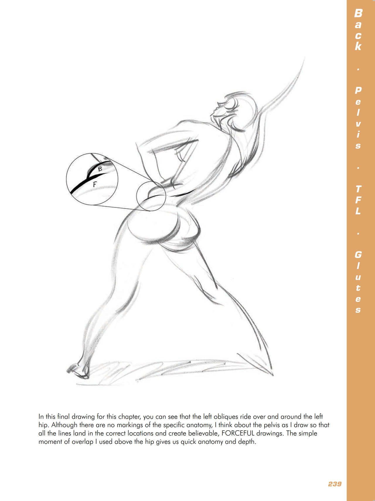 Force. Drawing human anatomy - Michael D. Mattesi [Digital] 260