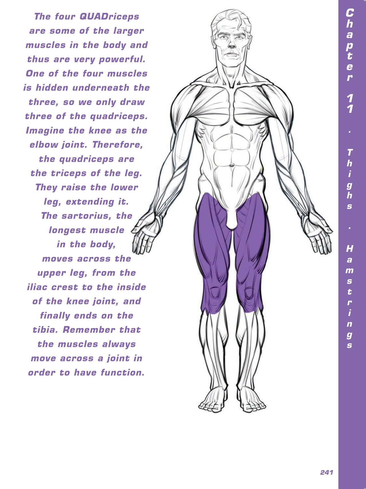 Force. Drawing human anatomy - Michael D. Mattesi [Digital] 262