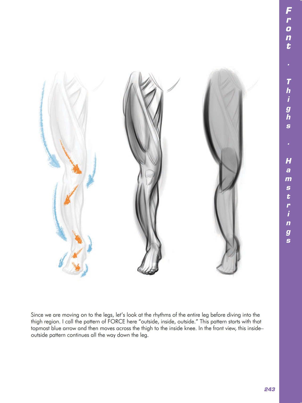 Force. Drawing human anatomy - Michael D. Mattesi [Digital] 264