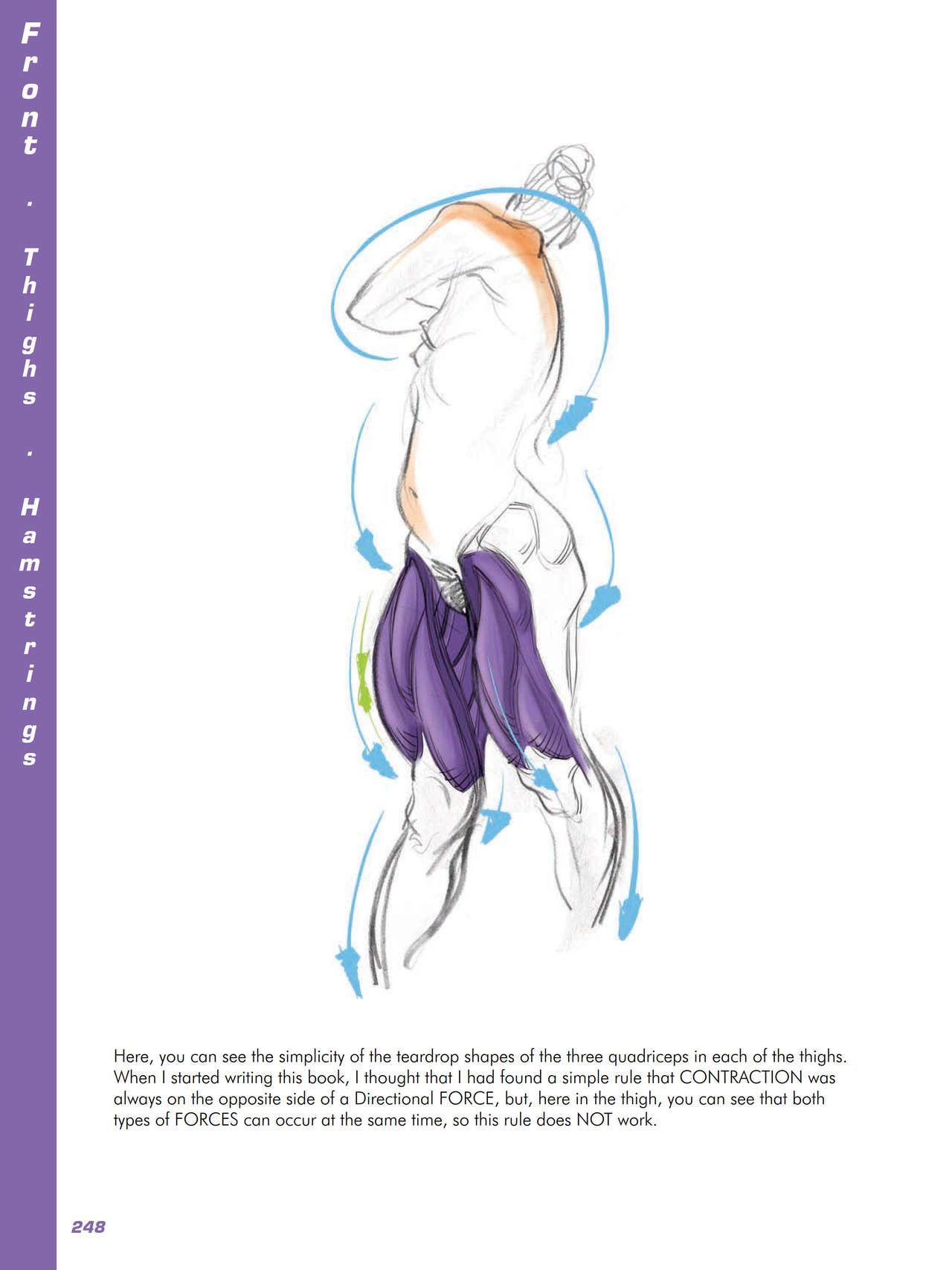 Force. Drawing human anatomy - Michael D. Mattesi [Digital] 269