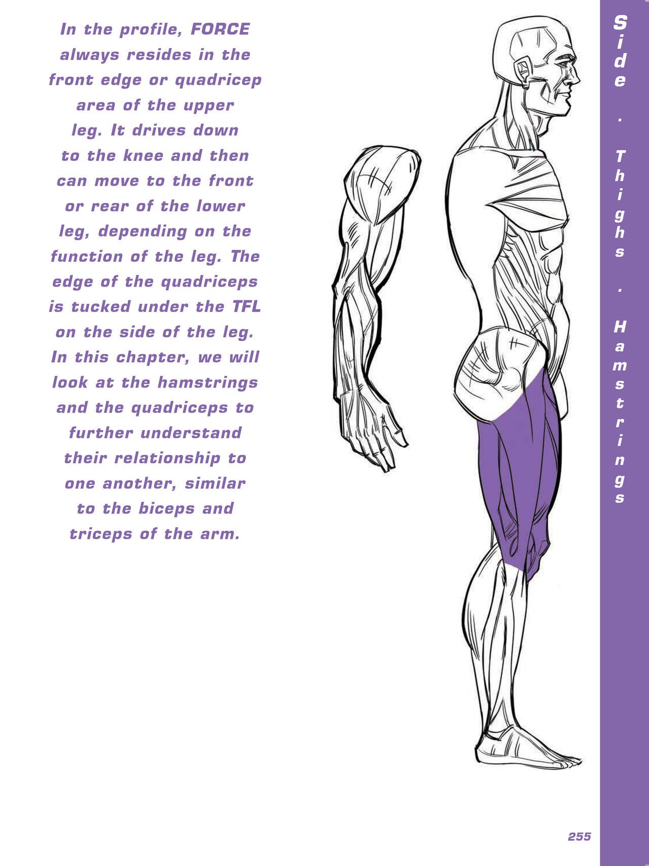 Force. Drawing human anatomy - Michael D. Mattesi [Digital] 276